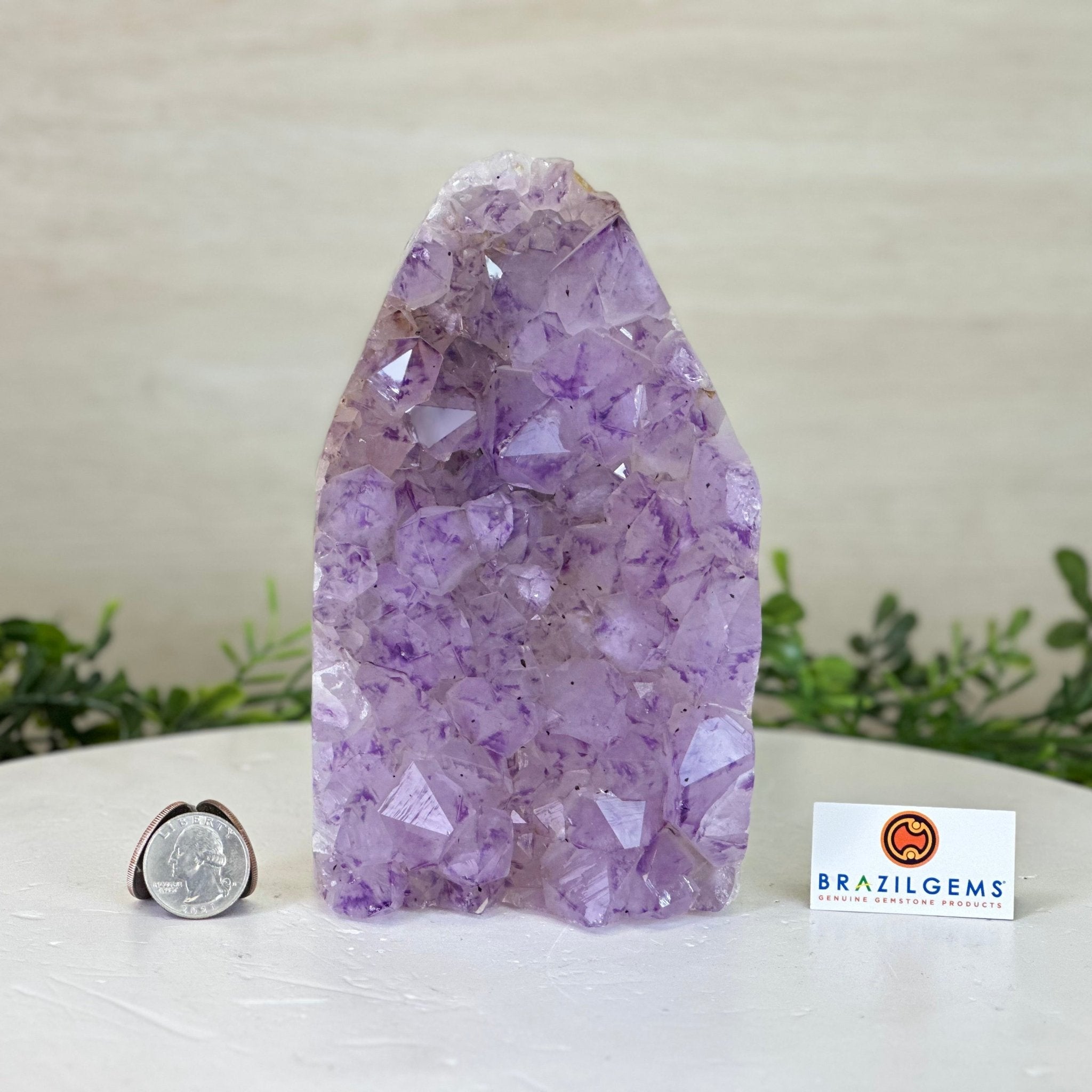 Drusy Amethyst Night Light 4.1 lbs & 6.7" Tall #5800AM - 014 - Brazil GemsBrazil GemsDrusy Amethyst Night Light 4.1 lbs & 6.7" Tall #5800AM - 014Night Lights5800AM - 014