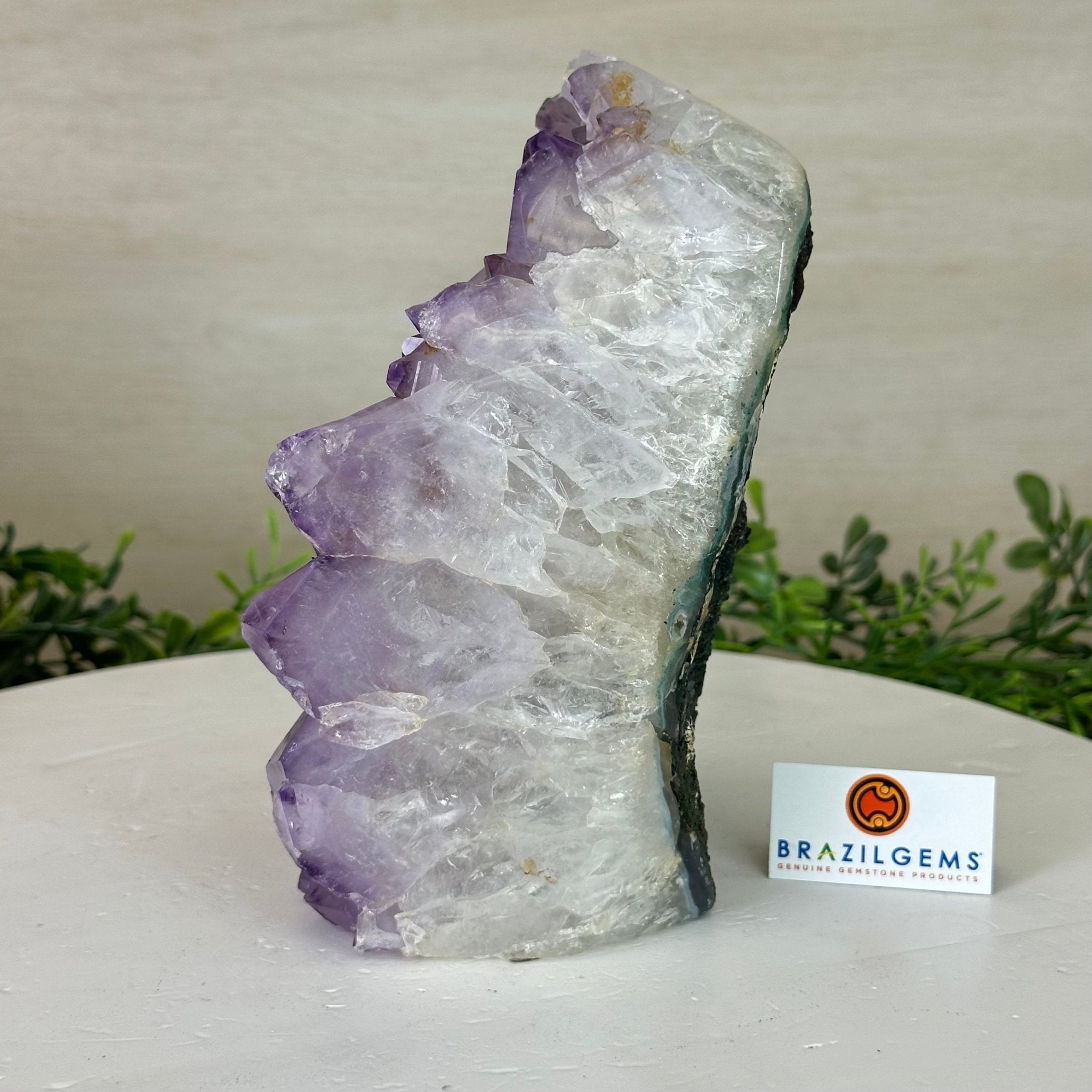 Drusy Amethyst Night Light 4.1 lbs & 6.7" Tall #5800AM - 014 - Brazil GemsBrazil GemsDrusy Amethyst Night Light 4.1 lbs & 6.7" Tall #5800AM - 014Night Lights5800AM - 014