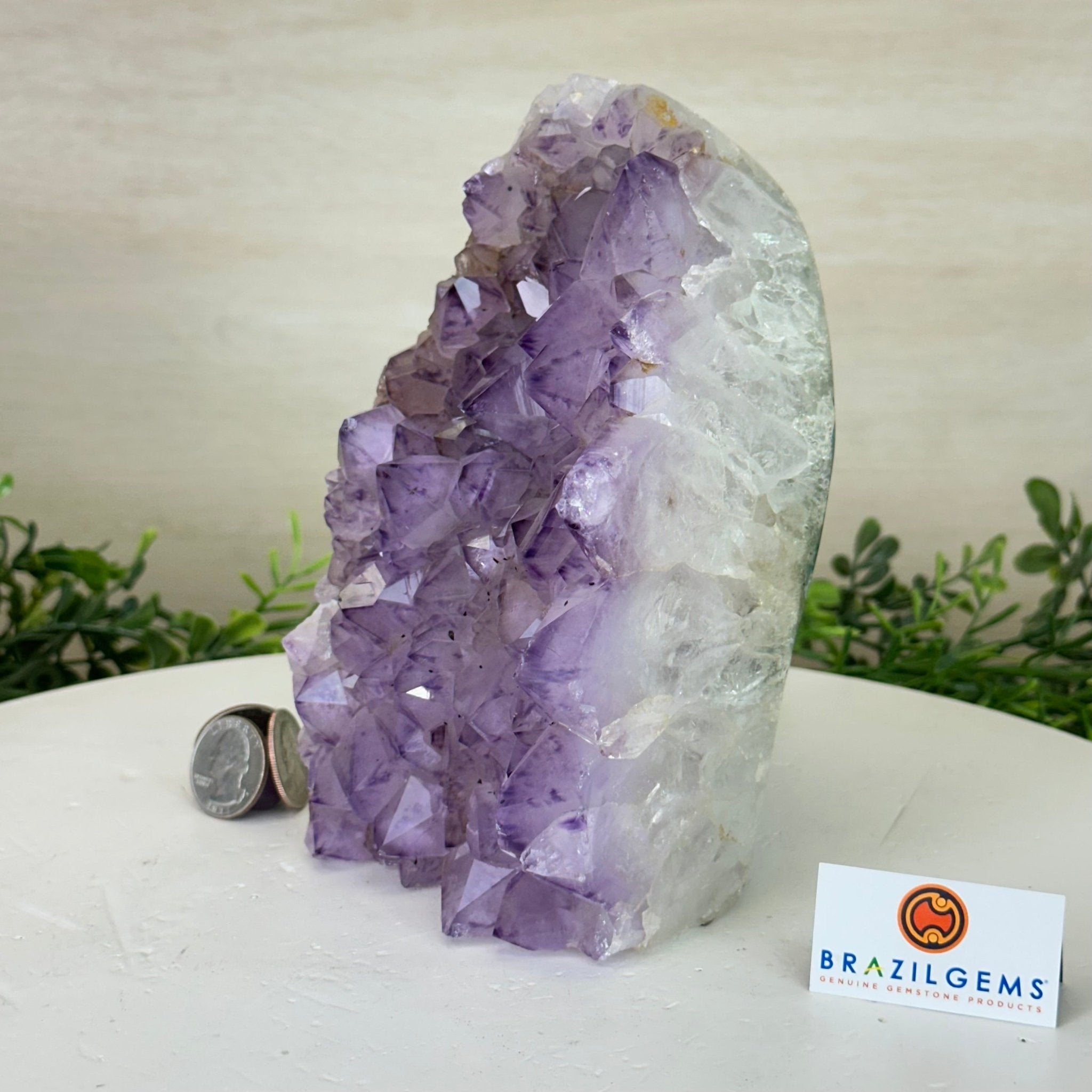 Drusy Amethyst Night Light 4.1 lbs & 6.7" Tall #5800AM - 014 - Brazil GemsBrazil GemsDrusy Amethyst Night Light 4.1 lbs & 6.7" Tall #5800AM - 014Night Lights5800AM - 014