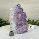 Drusy Amethyst Night Light 4.3 lbs & 6.6" Tall #5800AM - 016 - Brazil GemsBrazil GemsDrusy Amethyst Night Light 4.3 lbs & 6.6" Tall #5800AM - 016Night Lights5800AM - 016