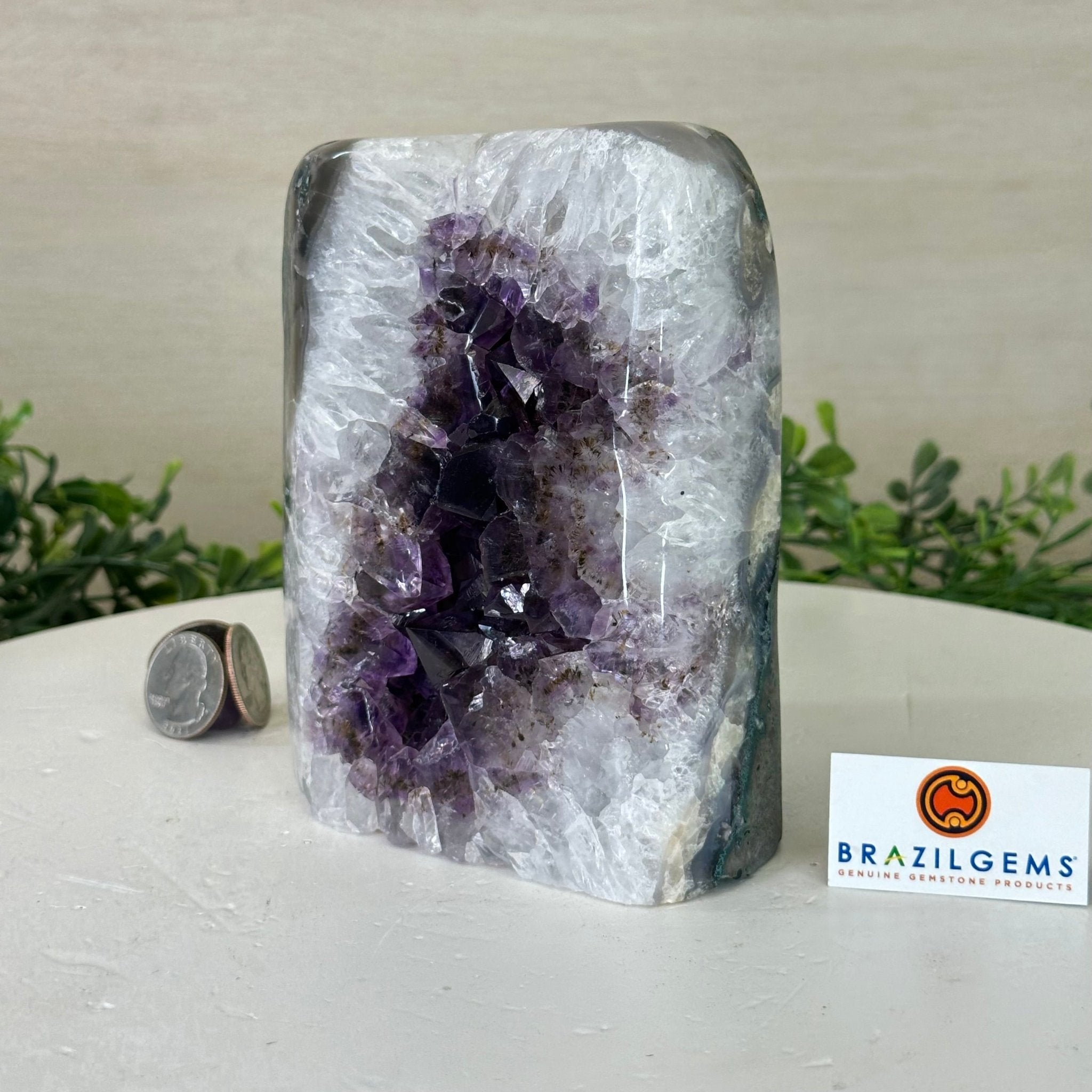 Drusy Amethyst Night Light 4.8 lbs & 5.4" Tall #5800AM - 020 - Brazil GemsBrazil GemsDrusy Amethyst Night Light 4.8 lbs & 5.4" Tall #5800AM - 020Night Lights5800AM - 020