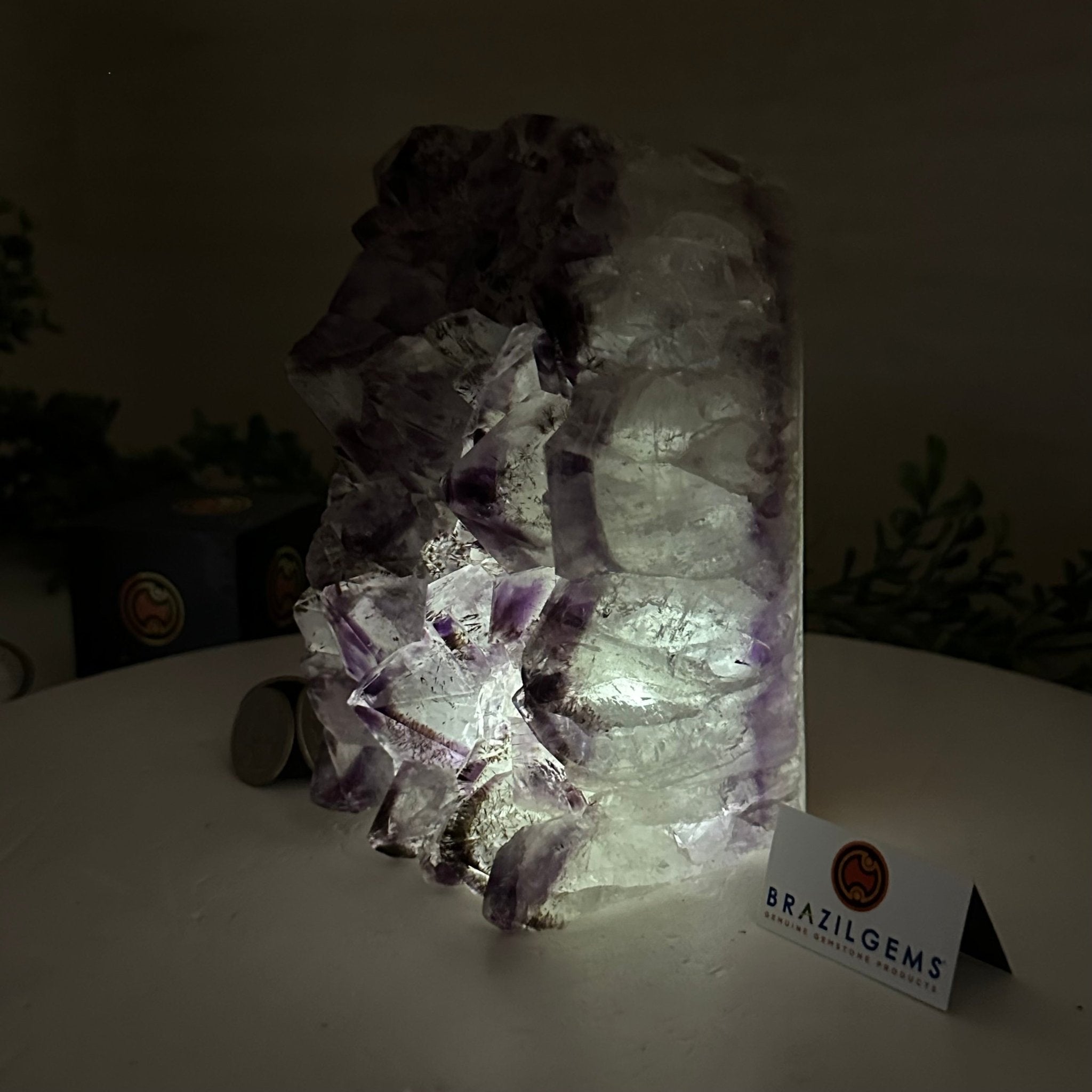 Drusy Amethyst Night Light 4.9 lbs & 6.3" Tall #5800AM - 023 - Brazil GemsBrazil GemsDrusy Amethyst Night Light 4.9 lbs & 6.3" Tall #5800AM - 023Night Lights5800AM - 023