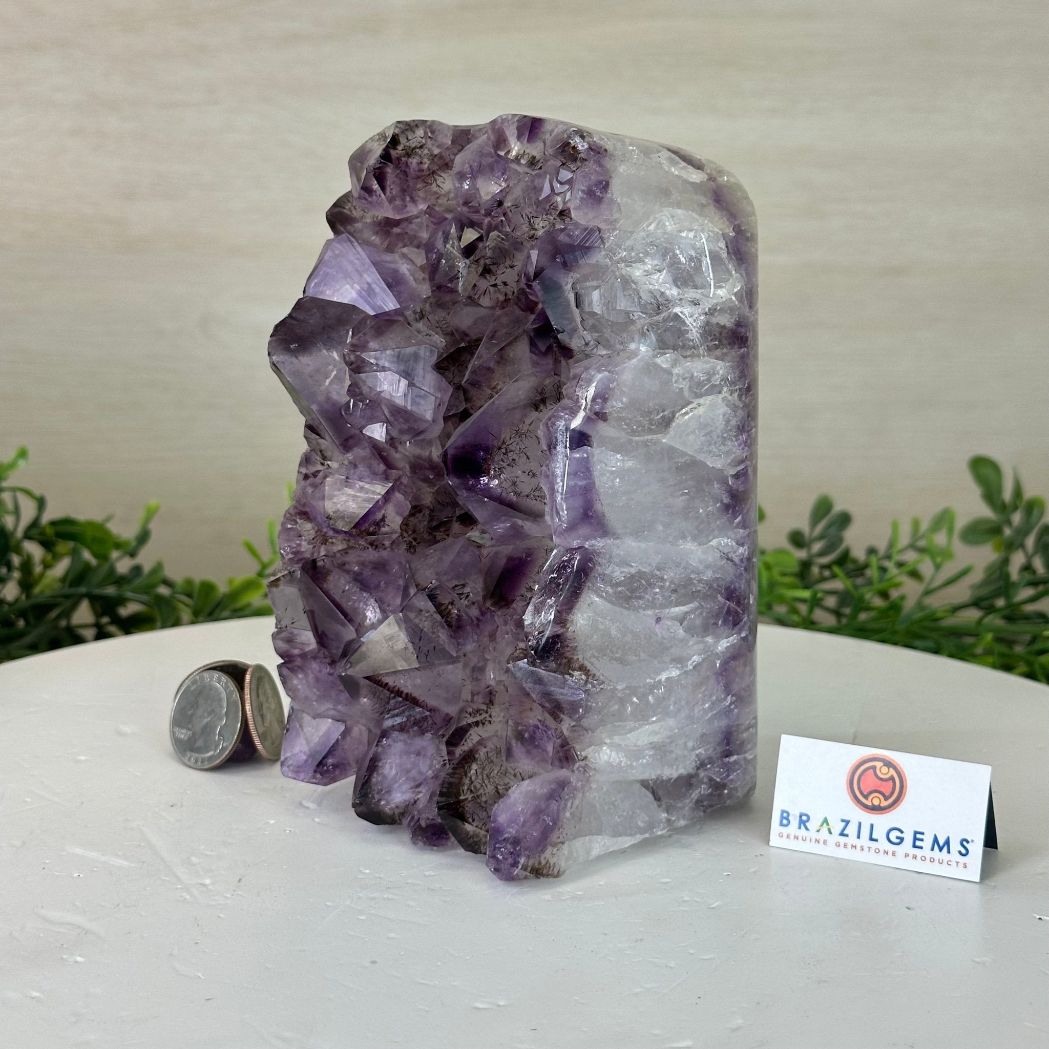 Drusy Amethyst Night Light 4.9 lbs & 6.3" Tall #5800AM - 023 - Brazil GemsBrazil GemsDrusy Amethyst Night Light 4.9 lbs & 6.3" Tall #5800AM - 023Night Lights5800AM - 023