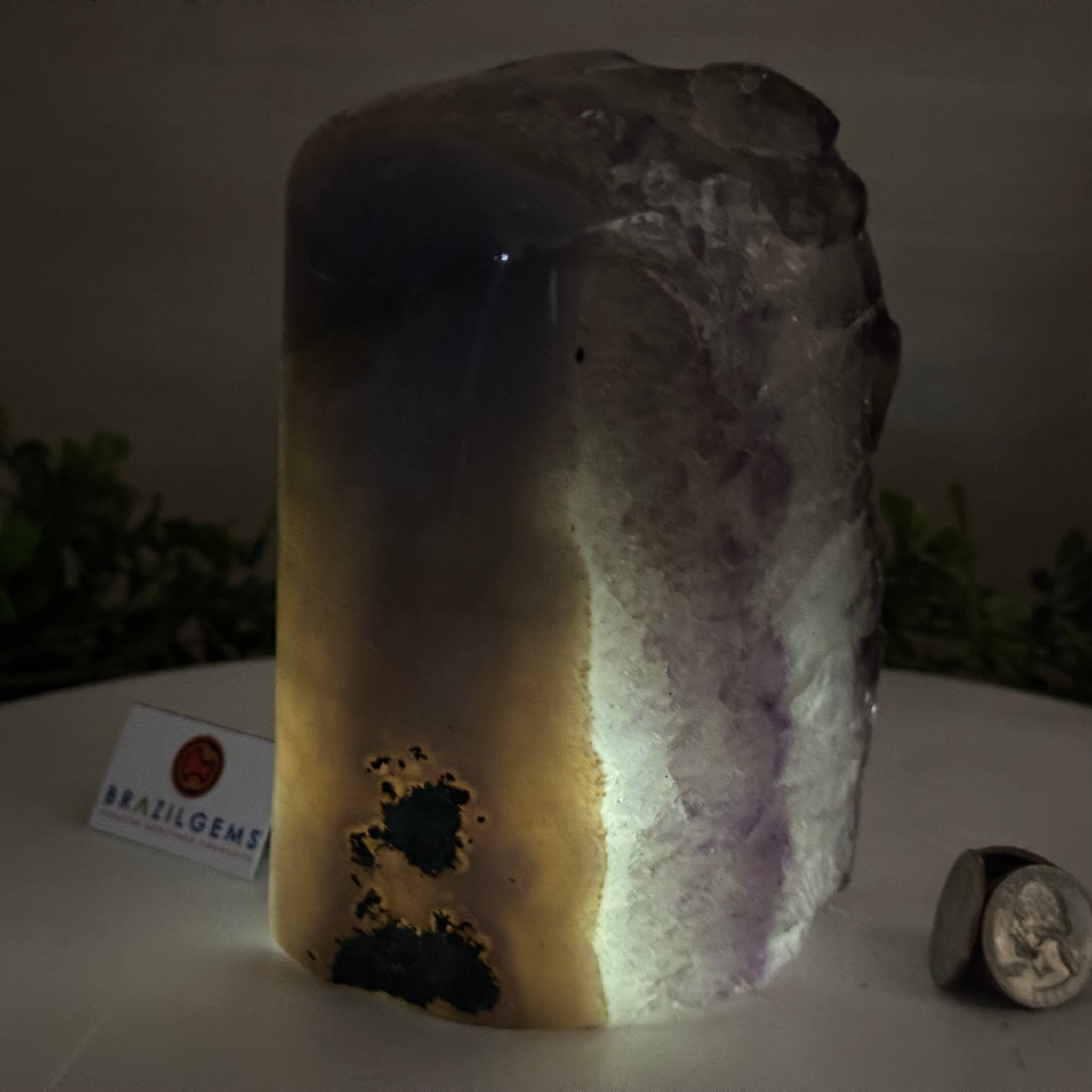 Drusy Amethyst Night Light 4.9 lbs & 6.3" Tall #5800AM - 023 - Brazil GemsBrazil GemsDrusy Amethyst Night Light 4.9 lbs & 6.3" Tall #5800AM - 023Night Lights5800AM - 023