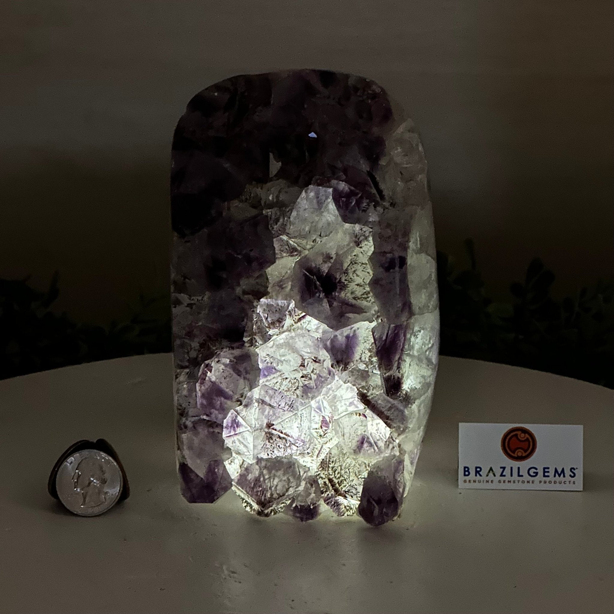 Drusy Amethyst Night Light 4.9 lbs & 6.3" Tall #5800AM - 023 - Brazil GemsBrazil GemsDrusy Amethyst Night Light 4.9 lbs & 6.3" Tall #5800AM - 023Night Lights5800AM - 023