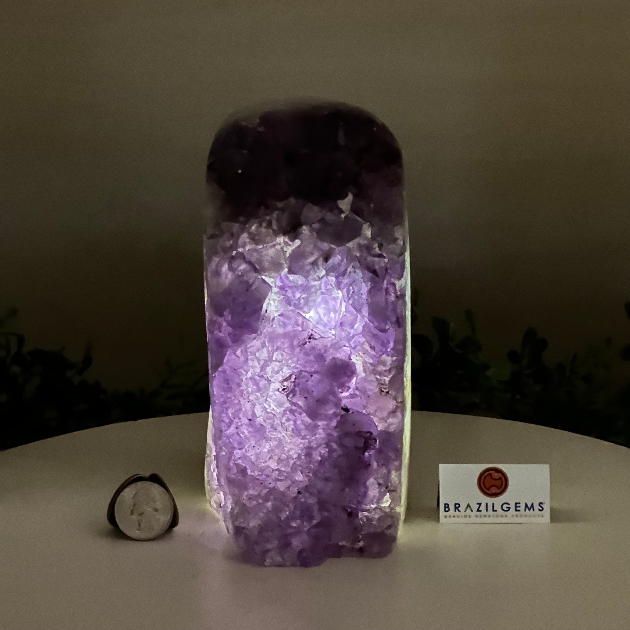 Drusy Amethyst Night Light 5.3 lbs & 7.1" Tall #5800AM - 027 - Brazil GemsBrazil GemsDrusy Amethyst Night Light 5.3 lbs & 7.1" Tall #5800AM - 027Night Lights5800AM - 027