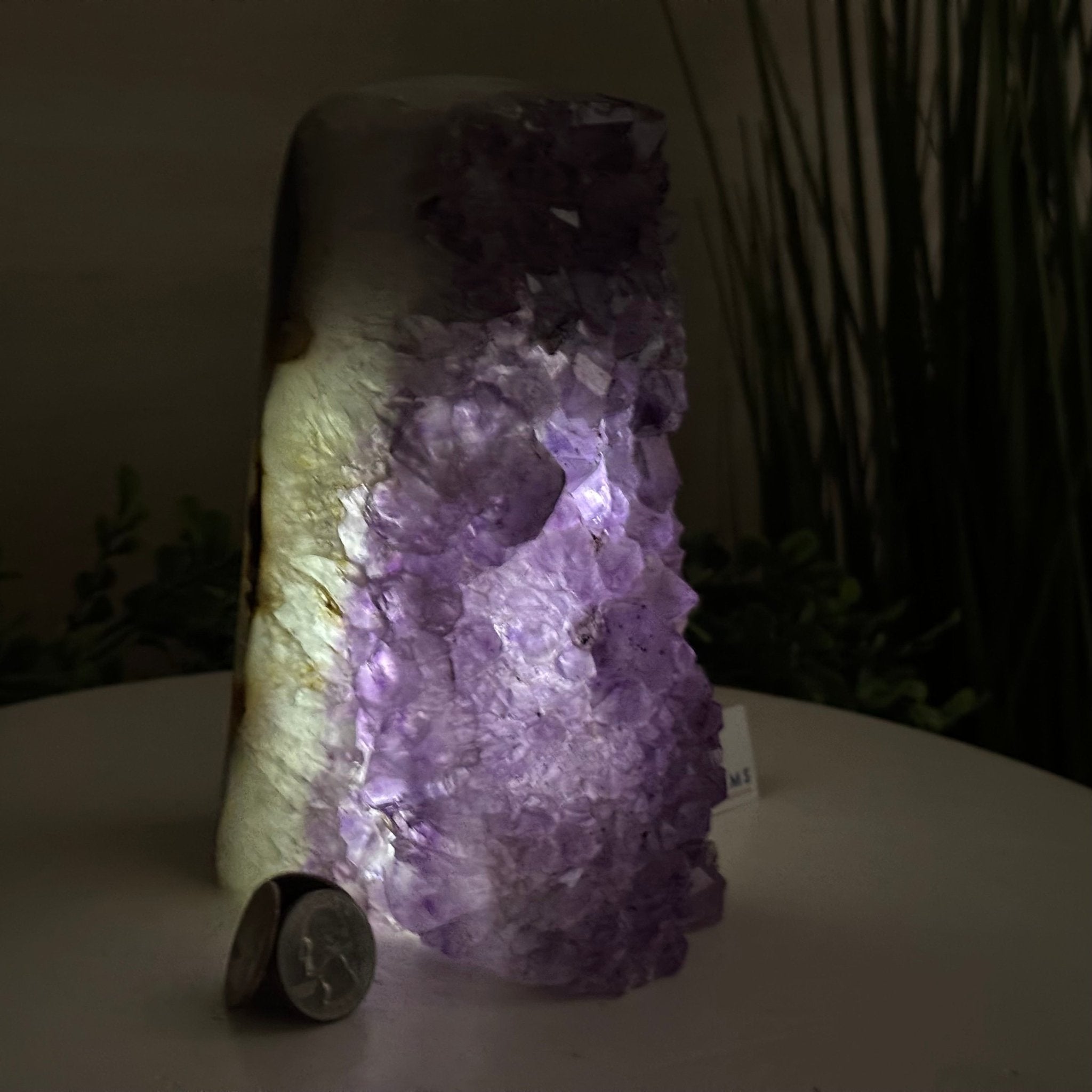 Drusy Amethyst Night Light 5.3 lbs & 7.1" Tall #5800AM - 027 - Brazil GemsBrazil GemsDrusy Amethyst Night Light 5.3 lbs & 7.1" Tall #5800AM - 027Night Lights5800AM - 027