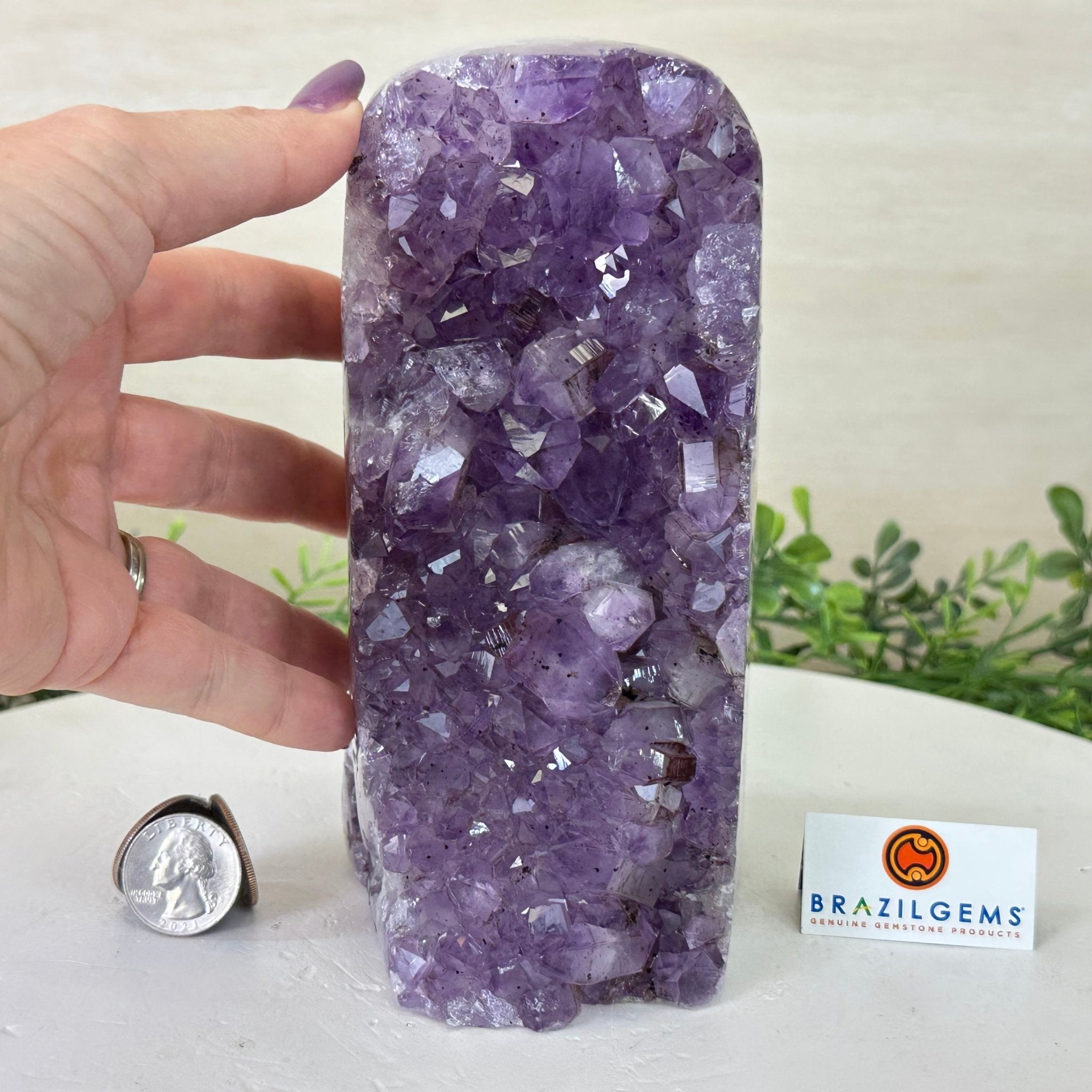 Drusy Amethyst Night Light 5.3 lbs & 7.1" Tall #5800AM - 027 - Brazil GemsBrazil GemsDrusy Amethyst Night Light 5.3 lbs & 7.1" Tall #5800AM - 027Night Lights5800AM - 027