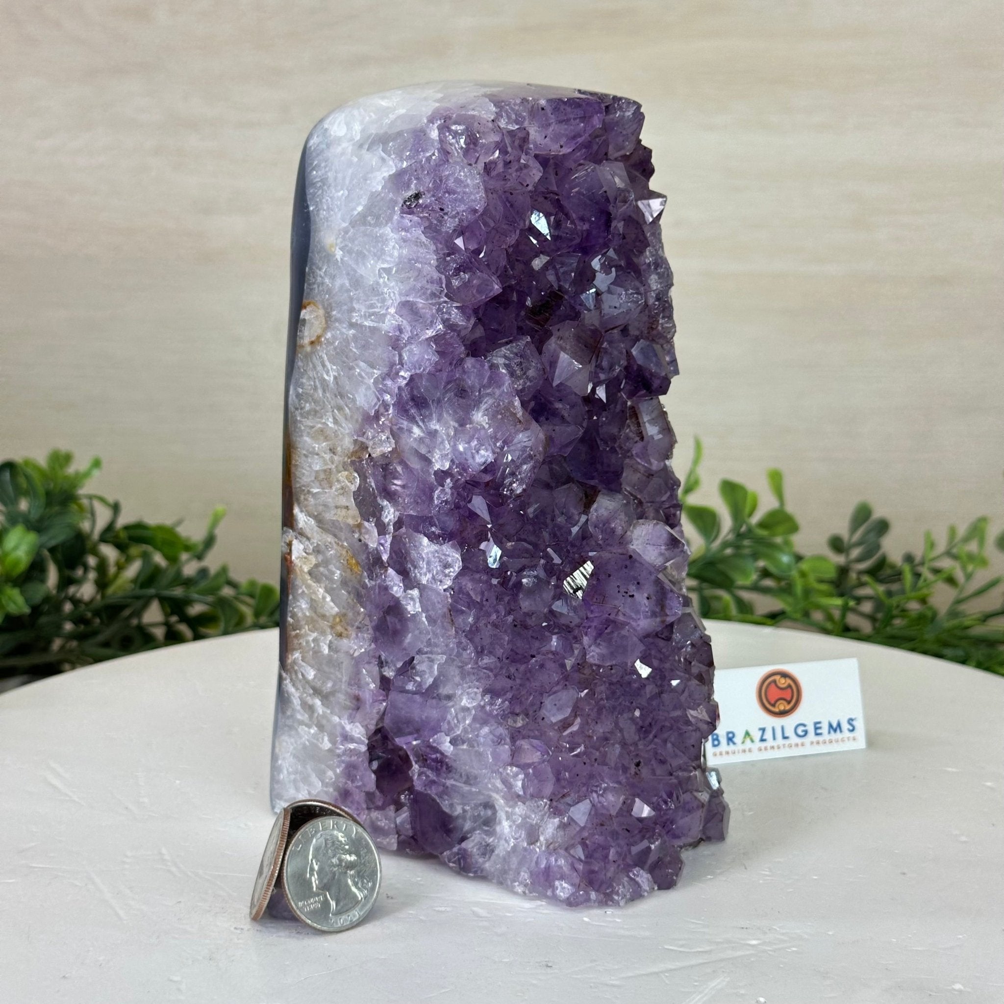 Drusy Amethyst Night Light 5.3 lbs & 7.1" Tall #5800AM - 027 - Brazil GemsBrazil GemsDrusy Amethyst Night Light 5.3 lbs & 7.1" Tall #5800AM - 027Night Lights5800AM - 027