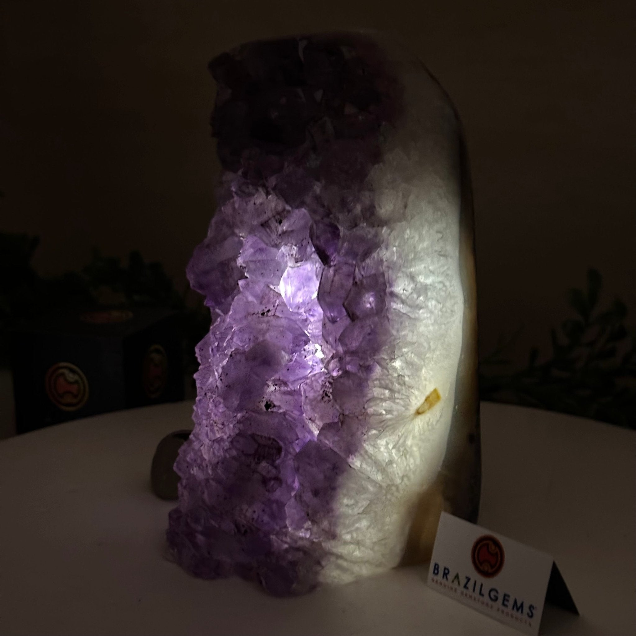 Drusy Amethyst Night Light 5.3 lbs & 7.1" Tall #5800AM - 027 - Brazil GemsBrazil GemsDrusy Amethyst Night Light 5.3 lbs & 7.1" Tall #5800AM - 027Night Lights5800AM - 027