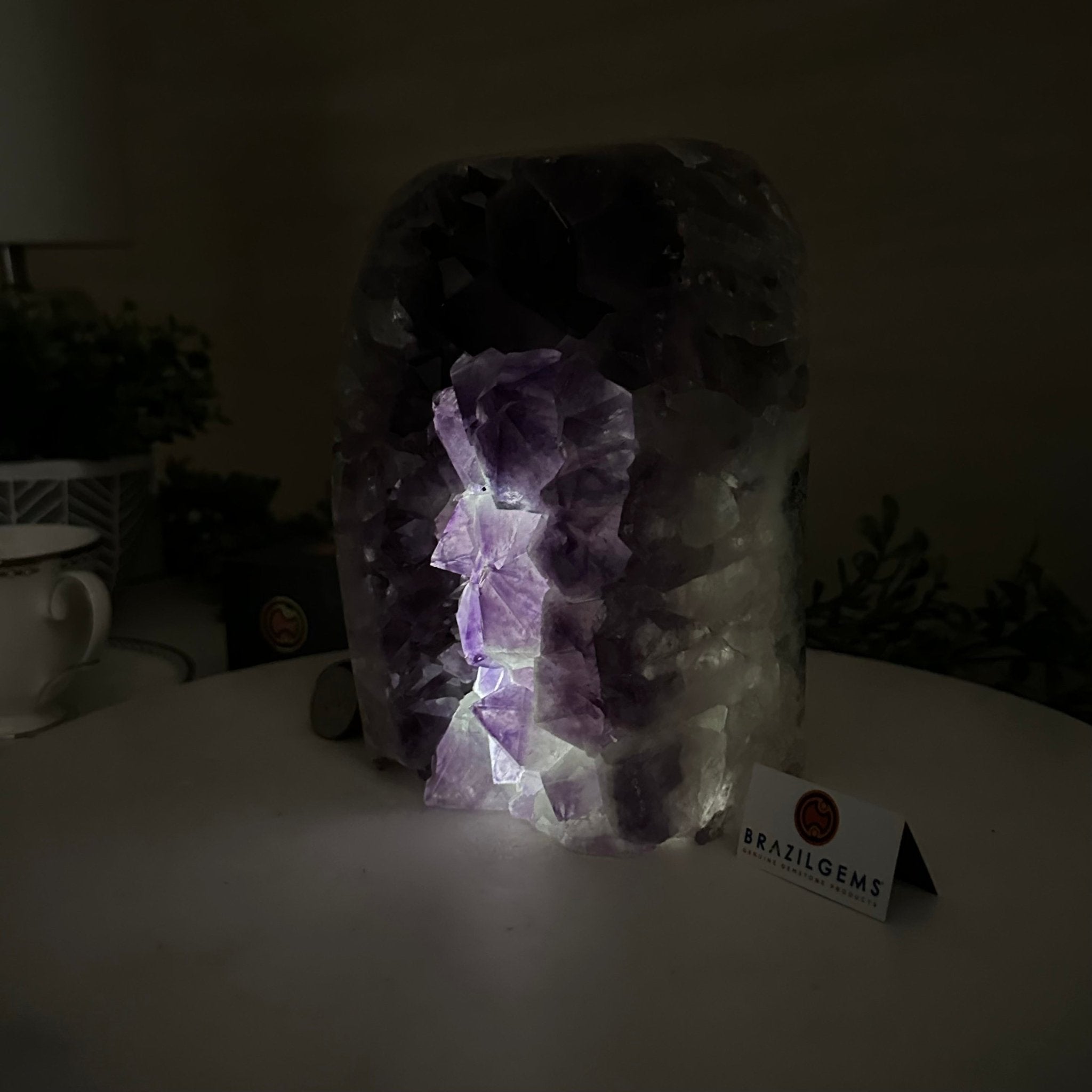 Drusy Amethyst Night Light 8.8 lbs & 7.2" Tall #5800AM - 042 - Brazil GemsBrazil GemsDrusy Amethyst Night Light 8.8 lbs & 7.2" Tall #5800AM - 042Night Lights5800AM - 042