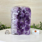 Drusy Amethyst Night Light 8.8 lbs & 7.2" Tall #5800AM - 042 - Brazil GemsBrazil GemsDrusy Amethyst Night Light 8.8 lbs & 7.2" Tall #5800AM - 042Night Lights5800AM - 042