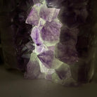 Drusy Amethyst Night Light 8.8 lbs & 7.2" Tall #5800AM - 042 - Brazil GemsBrazil GemsDrusy Amethyst Night Light 8.8 lbs & 7.2" Tall #5800AM - 042Night Lights5800AM - 042