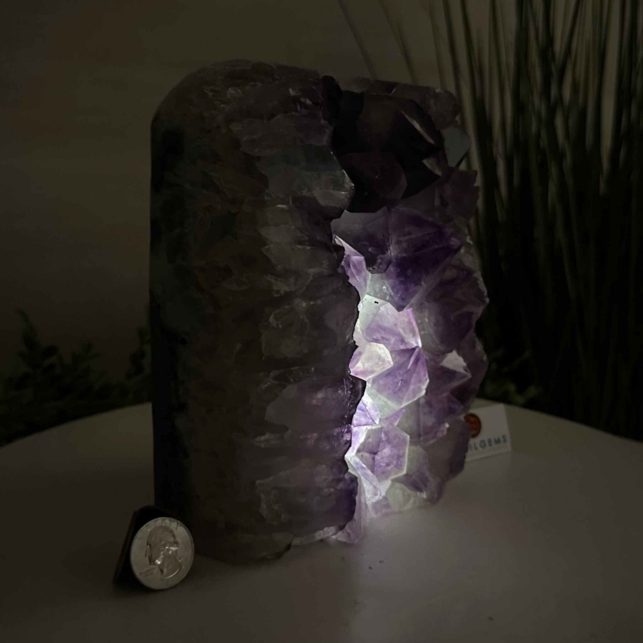 Drusy Amethyst Night Light 8.8 lbs & 7.2" Tall #5800AM - 042 - Brazil GemsBrazil GemsDrusy Amethyst Night Light 8.8 lbs & 7.2" Tall #5800AM - 042Night Lights5800AM - 042