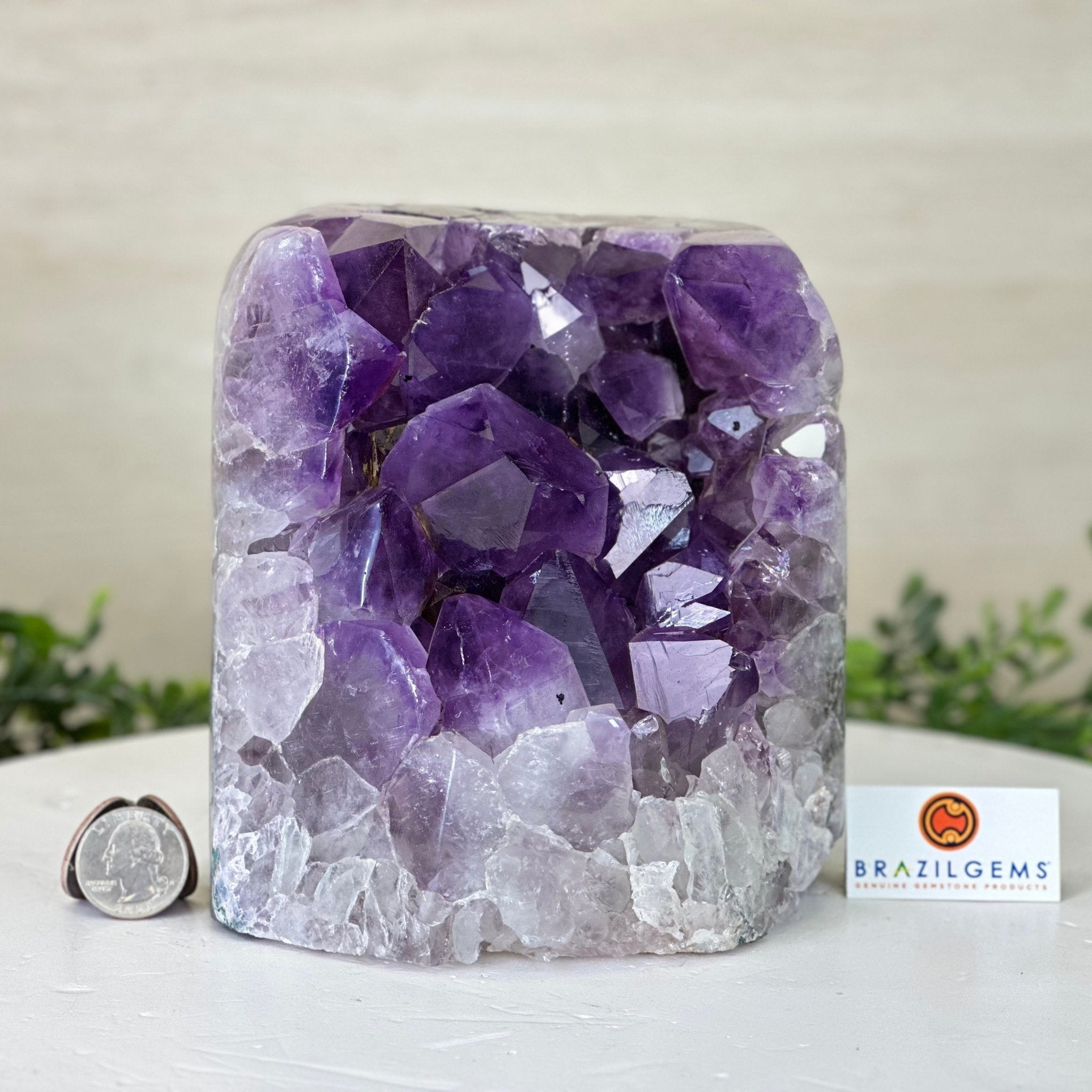 Drusy Amethyst Night Light 9.2 lbs & 6.1" Tall #5800AM - 044 - Brazil GemsBrazil GemsDrusy Amethyst Night Light 9.2 lbs & 6.1" Tall #5800AM - 044Night Lights5800AM - 044