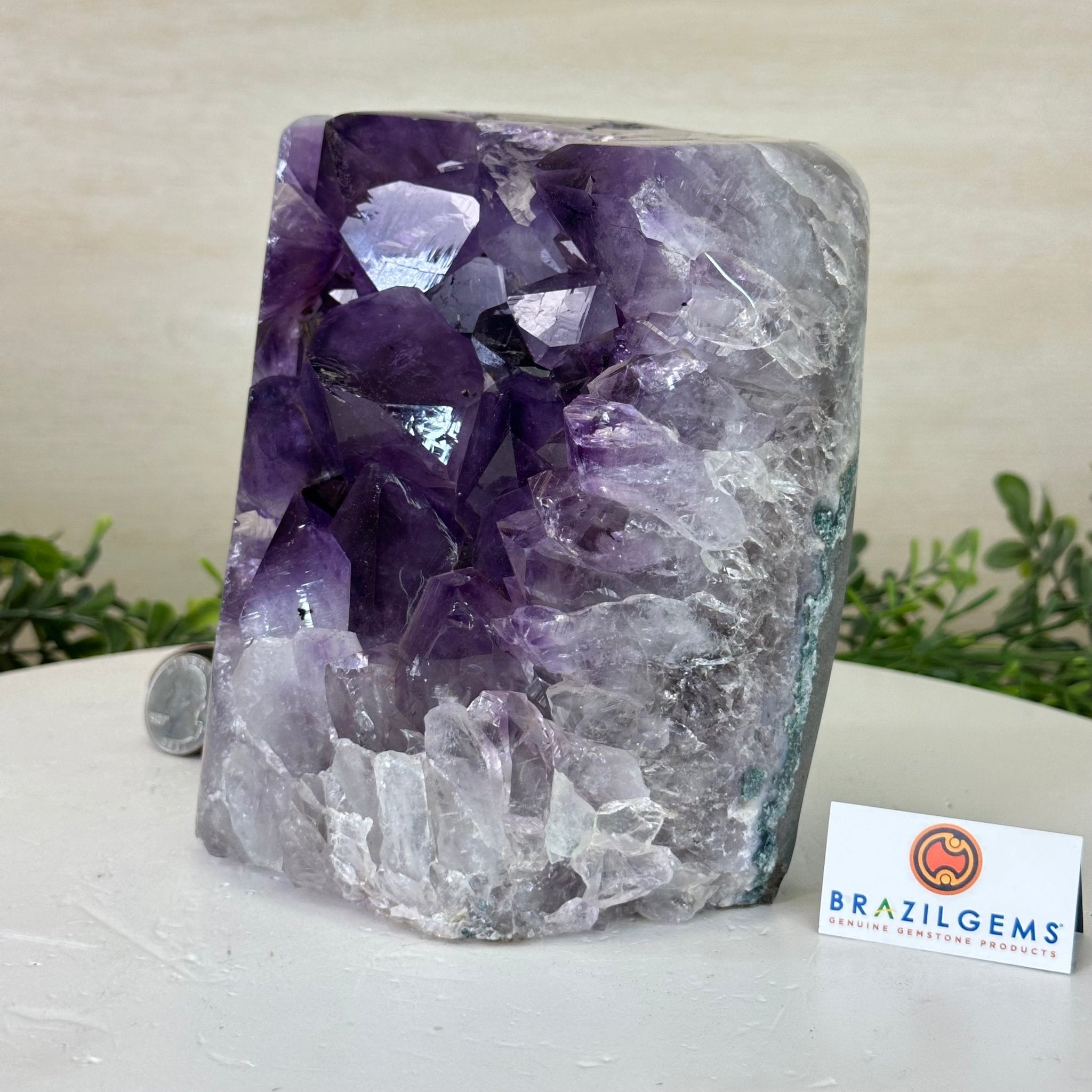 Drusy Amethyst Night Light 9.2 lbs & 6.1" Tall #5800AM - 044 - Brazil GemsBrazil GemsDrusy Amethyst Night Light 9.2 lbs & 6.1" Tall #5800AM - 044Night Lights5800AM - 044