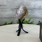 Druzy Amethyst Sphere on a Metal Stand, 0.7 lbs & 5.1" Tall #5630-0029 - Brazil GemsBrazil GemsDruzy Amethyst Sphere on a Metal Stand, 0.7 lbs & 5.1" Tall #5630-0029Spheres5630-0029