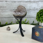 Druzy Amethyst Sphere on a Metal Stand, 1.4 lbs & 7.1" Tall #5630-0042 - Brazil GemsBrazil GemsDruzy Amethyst Sphere on a Metal Stand, 1.4 lbs & 7.1" Tall #5630-0042Spheres5630-0042