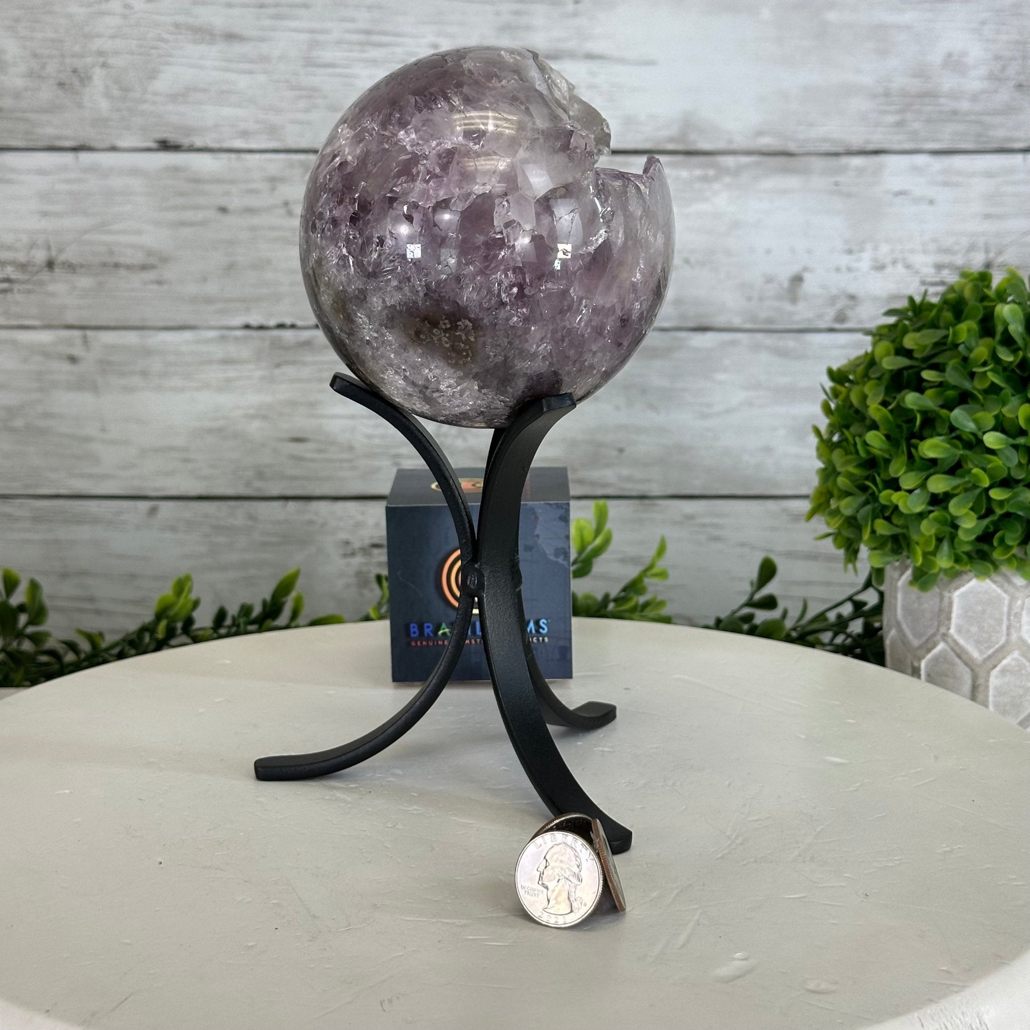 Druzy Amethyst Sphere on a Metal Stand, 3.4 lbs & 8.7" Tall #5630-0054 - Brazil GemsBrazil GemsDruzy Amethyst Sphere on a Metal Stand, 3.4 lbs & 8.7" Tall #5630-0054Spheres5630-0054