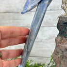 Extra Large Hand-Carved Blue Quartz Macaw Bird w/ Amethyst Base, 15" Tall #3006-BQMAM-008 - Brazil GemsBrazil GemsExtra Large Hand-Carved Blue Quartz Macaw Bird w/ Amethyst Base, 15" Tall #3006-BQMAM-008Crystal Birds3006-BQMAM-008