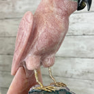 Extra Large Hand-Carved Rose Quartz Macaw Bird w/ Amethyst Base, 14" Tall #3006-RQMAM-013 - Brazil GemsBrazil GemsExtra Large Hand-Carved Rose Quartz Macaw Bird w/ Amethyst Base, 14" Tall #3006-RQMAM-013Crystal Birds3006-RQMAM-013