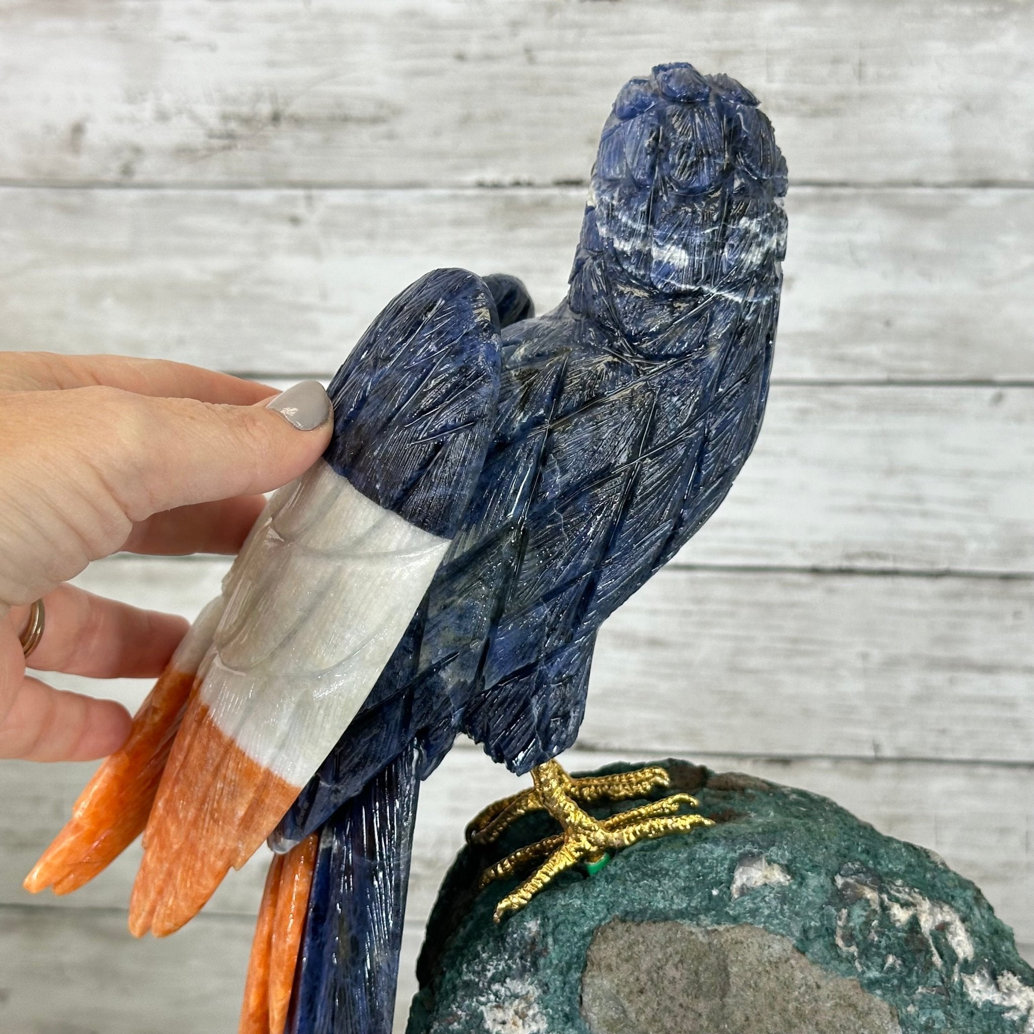 Extra Large Hand-Carved Sodalite Macaw Bird on an Amethyst Base, 17.7" Tall #3006-SOMAM-004 - Brazil GemsBrazil GemsExtra Large Hand-Carved Sodalite Macaw Bird on an Amethyst Base, 17.7" Tall #3006-SOMAM-004Crystal Birds3006-SOMAM-004