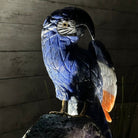 Extra Large Hand-Carved Sodalite Macaw Bird on an Amethyst Base, 17.7" Tall #3006-SOMAM-004 - Brazil GemsBrazil GemsExtra Large Hand-Carved Sodalite Macaw Bird on an Amethyst Base, 17.7" Tall #3006-SOMAM-004Crystal Birds3006-SOMAM-004