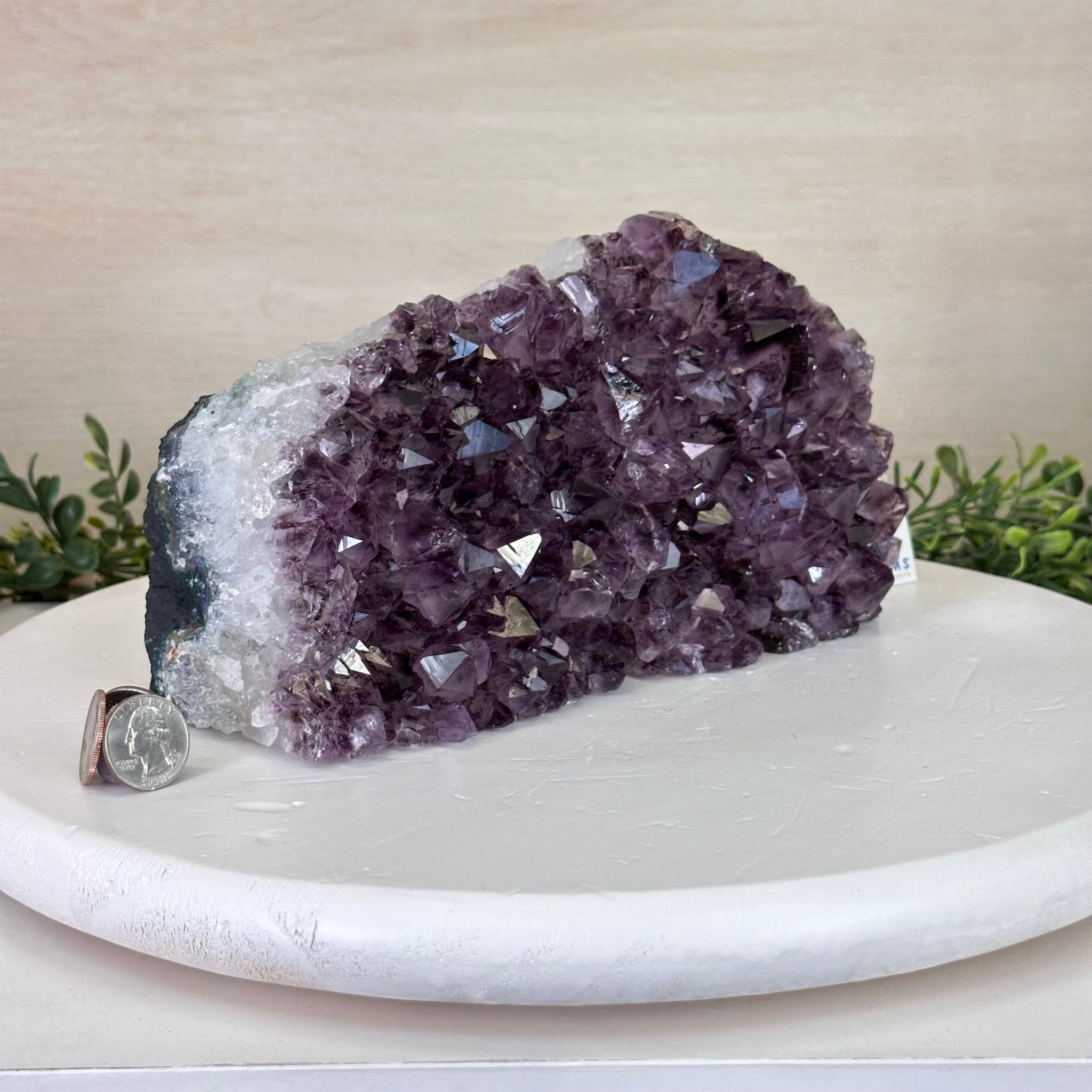 Extra Plus Amethyst Crystal Bookends, 11.2 lbs & 5.2" Tall #5151AM - 064 - Brazil GemsBrazil GemsExtra Plus Amethyst Crystal Bookends, 11.2 lbs & 5.2" Tall #5151AM - 064Bookends5151AM - 064