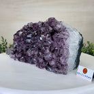 Extra Plus Amethyst Crystal Bookends, 11.2 lbs & 5.2" Tall #5151AM - 064 - Brazil GemsBrazil GemsExtra Plus Amethyst Crystal Bookends, 11.2 lbs & 5.2" Tall #5151AM - 064Bookends5151AM - 064