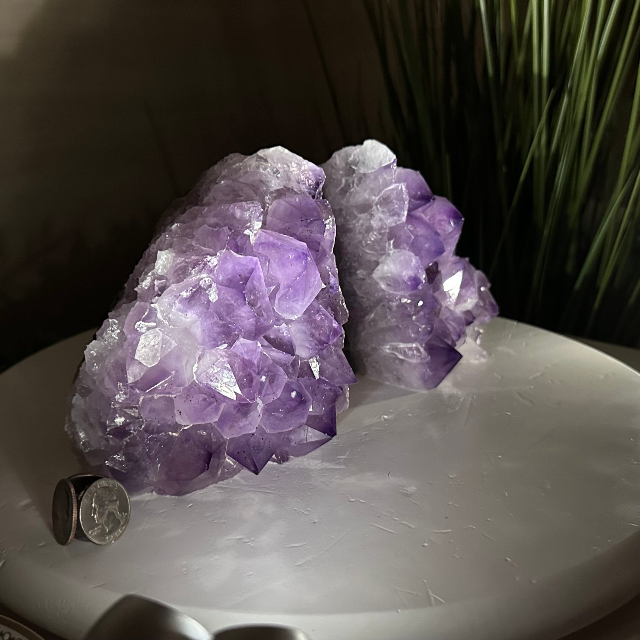 Extra Plus Amethyst Crystal Bookends, 6.9 lbs & 5.3" Tall #5151AM - 062 - Brazil GemsBrazil GemsExtra Plus Amethyst Crystal Bookends, 6.9 lbs & 5.3" Tall #5151AM - 062Bookends5151AM - 062