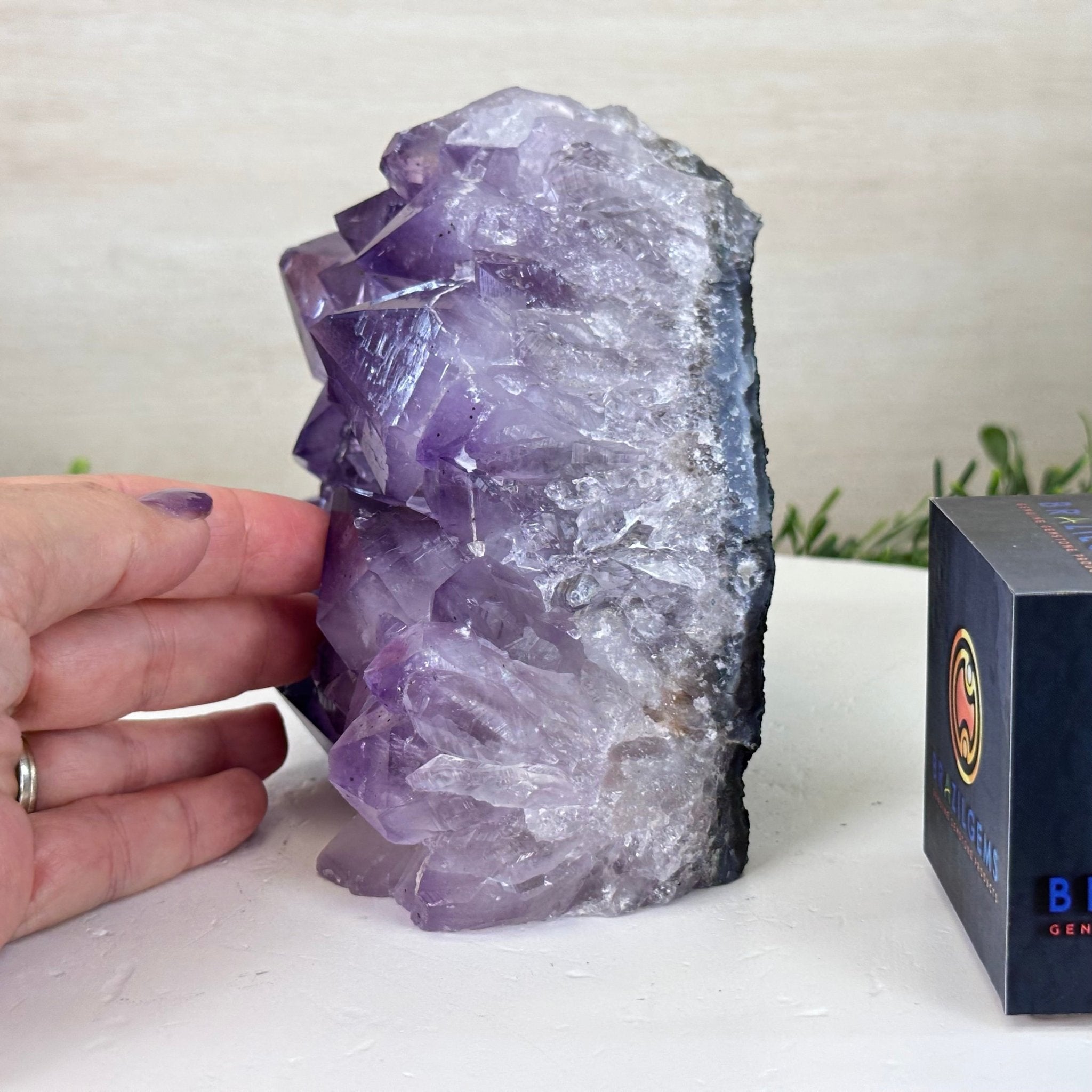 Extra Plus Amethyst Crystal Bookends, 6.9 lbs & 5.3" Tall #5151AM - 062 - Brazil GemsBrazil GemsExtra Plus Amethyst Crystal Bookends, 6.9 lbs & 5.3" Tall #5151AM - 062Bookends5151AM - 062