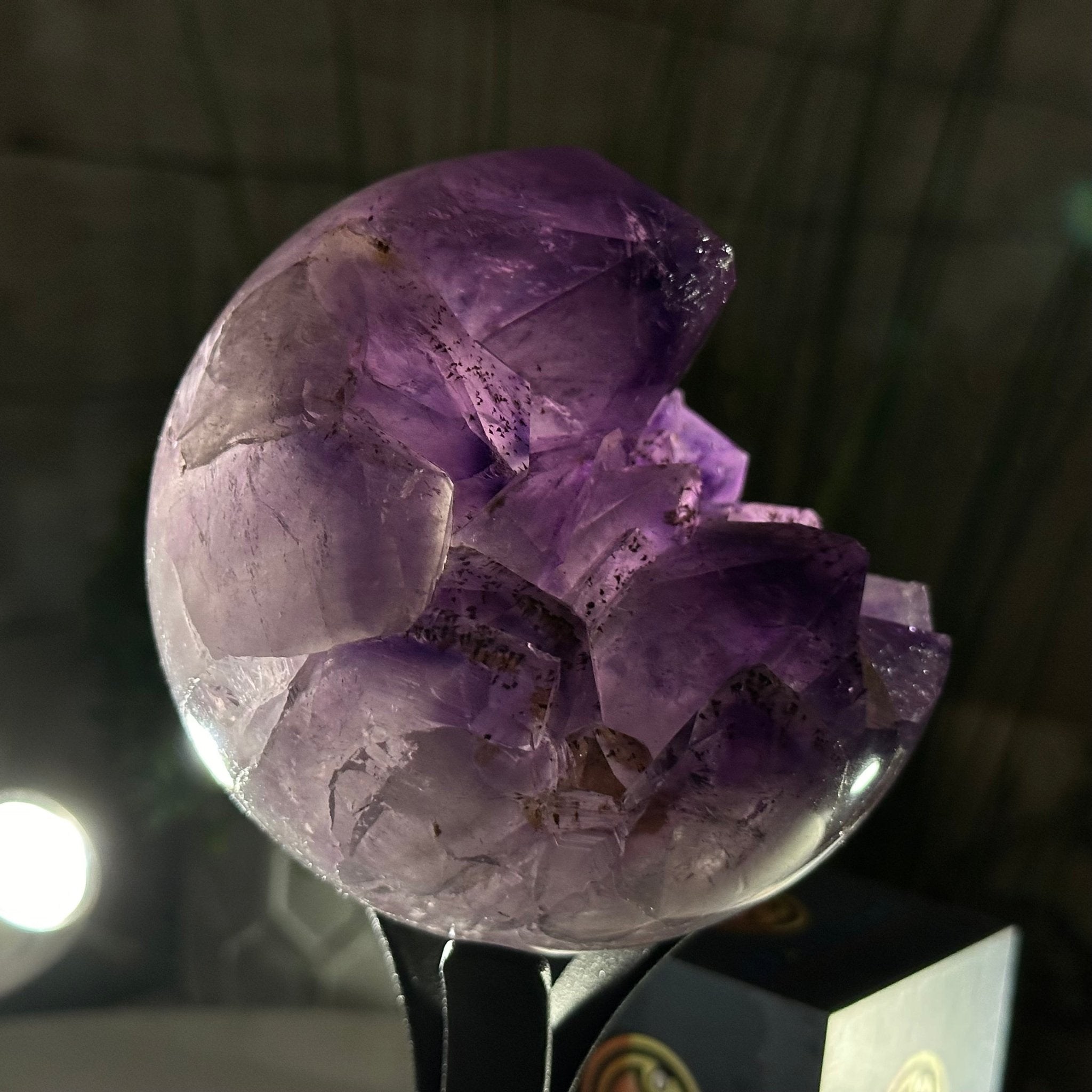 BRIESTA Gradation purple – Black Label