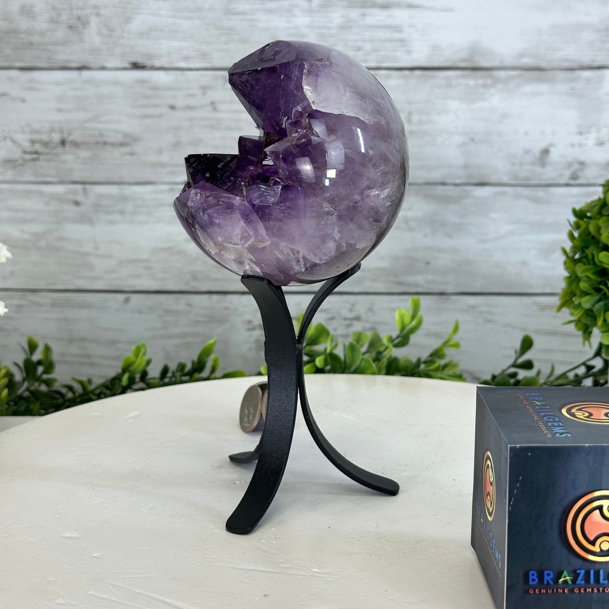 NUTS OUTDOOR BRIESTA amethystブリエスタ アメジスト NUTS OUTDOOR BRIESTA amethystブリエスタ アメジスト amethyst
