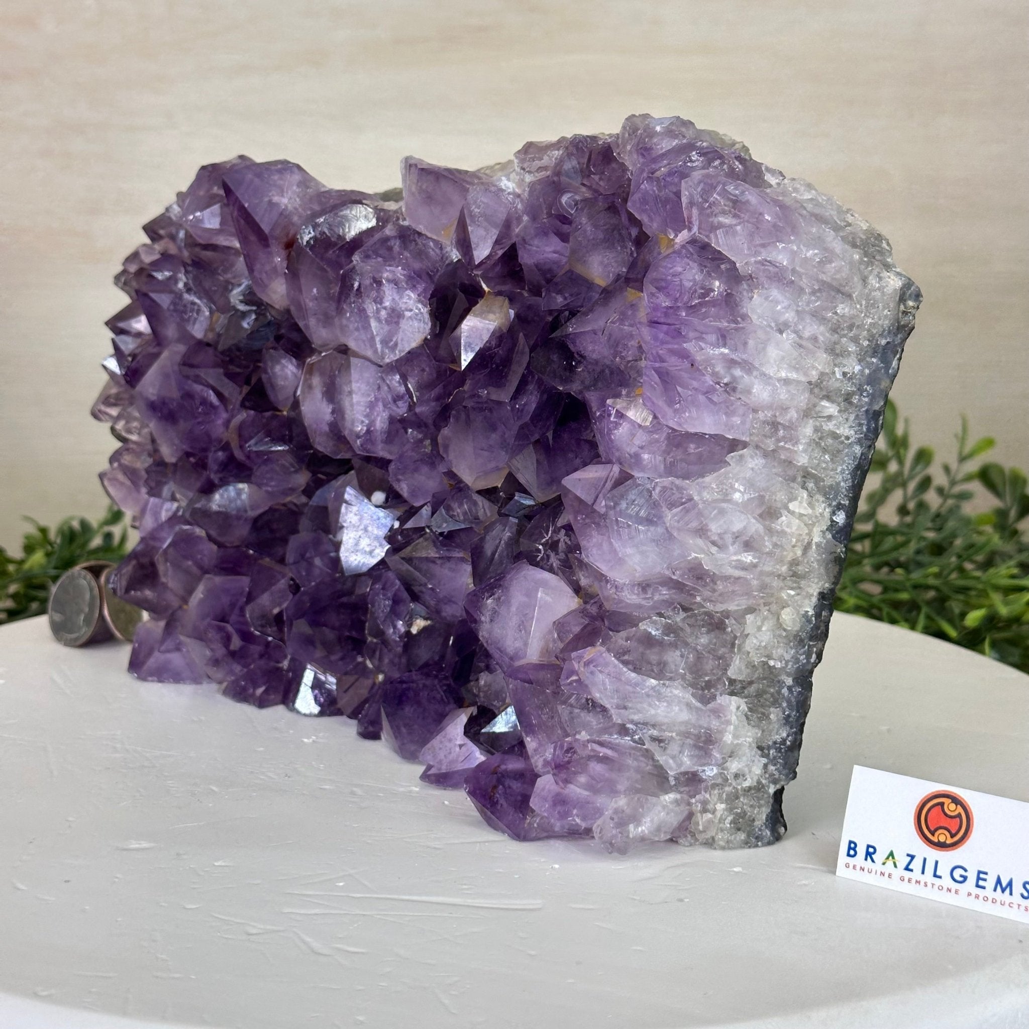 Extra Plus Quality Amethyst Bookends, 11.8 lbs & 6.2" Tall #5151AM - 065 - Brazil GemsBrazil GemsExtra Plus Quality Amethyst Bookends, 11.8 lbs & 6.2" Tall #5151AM - 065Bookends5151AM - 065