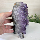 Extra Plus Quality Amethyst Bookends, 11.8 lbs & 6.2" Tall #5151AM - 065 - Brazil GemsBrazil GemsExtra Plus Quality Amethyst Bookends, 11.8 lbs & 6.2" Tall #5151AM - 065Bookends5151AM - 065