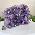 Extra Plus Quality Amethyst Bookends, 11.8 lbs & 6.2" Tall #5151AM - 065 - Brazil GemsBrazil GemsExtra Plus Quality Amethyst Bookends, 11.8 lbs & 6.2" Tall #5151AM - 065Bookends5151AM - 065