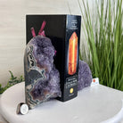 Extra Plus Quality Amethyst Bookends, 12.8 lbs & 7.2" Tall #5151AM - 092 - Brazil GemsBrazil GemsExtra Plus Quality Amethyst Bookends, 12.8 lbs & 7.2" Tall #5151AM - 092Bookends5151AM - 092