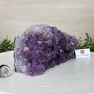 Extra Plus Quality Amethyst Bookends, 5.1 lbs & 4.1" Tall #5151AM - 067 - Brazil GemsBrazil GemsExtra Plus Quality Amethyst Bookends, 5.1 lbs & 4.1" Tall #5151AM - 067Bookends5151AM - 067