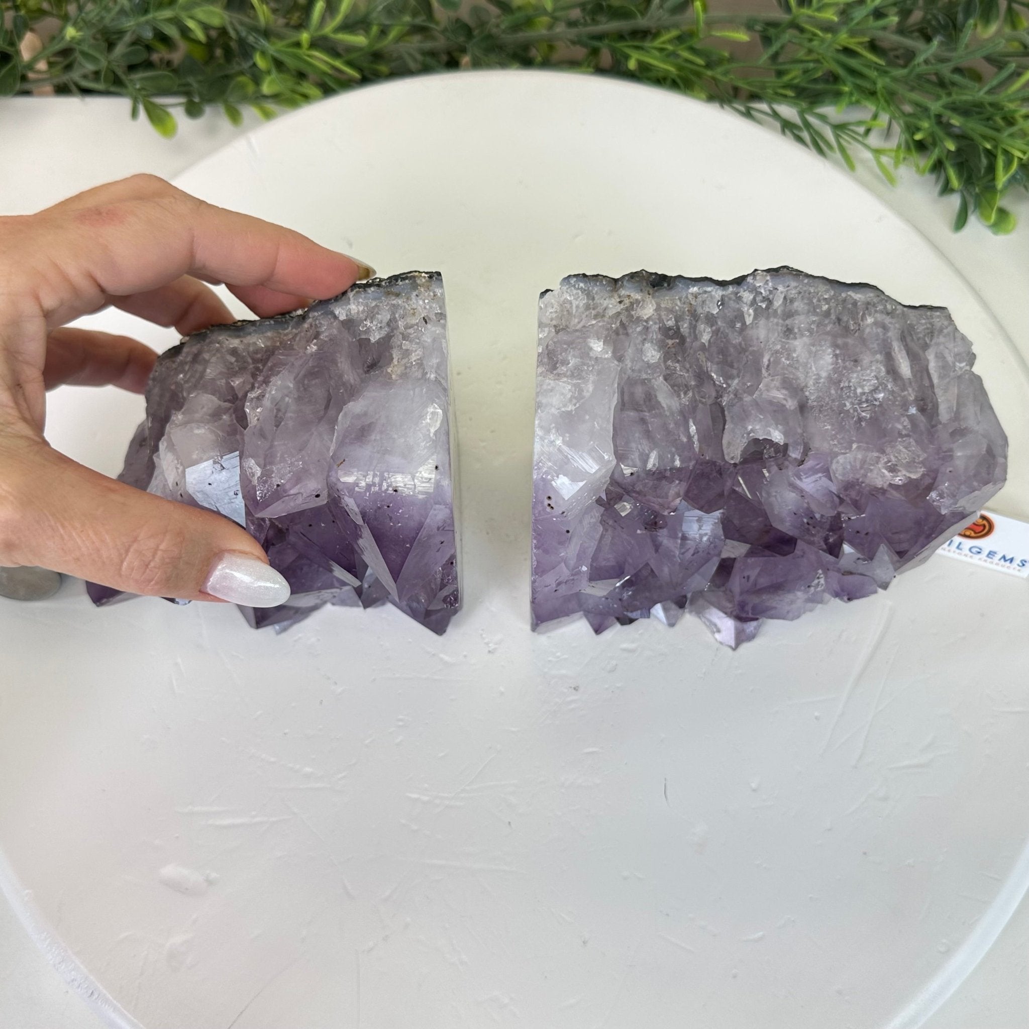 Extra Plus Quality Amethyst Bookends, 6.9 lbs & 4.1" Tall #5151AM - 068 - Brazil GemsBrazil GemsExtra Plus Quality Amethyst Bookends, 6.9 lbs & 4.1" Tall #5151AM - 068Bookends5151AM - 068