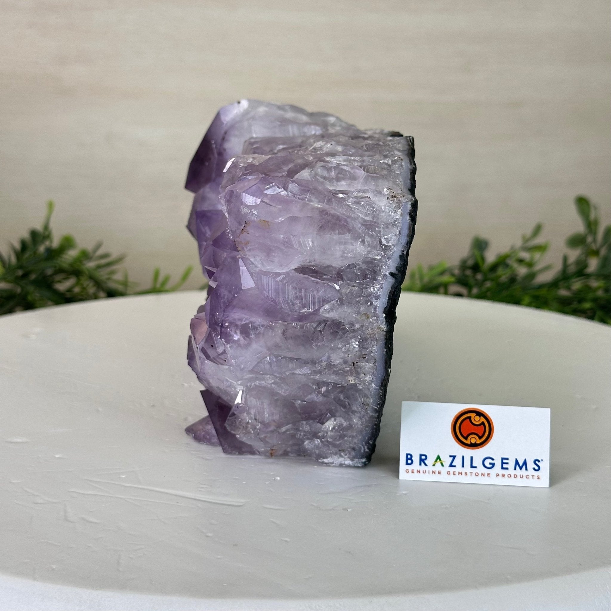 Extra Plus Quality Amethyst Bookends, 6.9 lbs & 4.1" Tall #5151AM - 068 - Brazil GemsBrazil GemsExtra Plus Quality Amethyst Bookends, 6.9 lbs & 4.1" Tall #5151AM - 068Bookends5151AM - 068