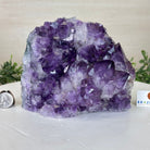 Extra Plus Quality Amethyst Bookends, 7.3 lbs & 5.2" Tall #5151AM - 069 - Brazil GemsBrazil GemsExtra Plus Quality Amethyst Bookends, 7.3 lbs & 5.2" Tall #5151AM - 069Bookends5151AM - 069