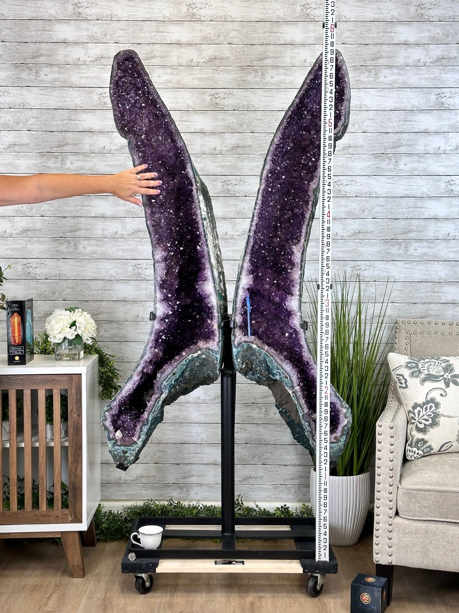 Extra Plus Quality Amethyst Butterfly Wings 311 lbs & 72" Tall #5493-0045 - Brazil GemsBrazil GemsExtra Plus Quality Amethyst Butterfly Wings 311 lbs & 72" Tall #5493-0045Amethyst Butterfly Wings5493-0045