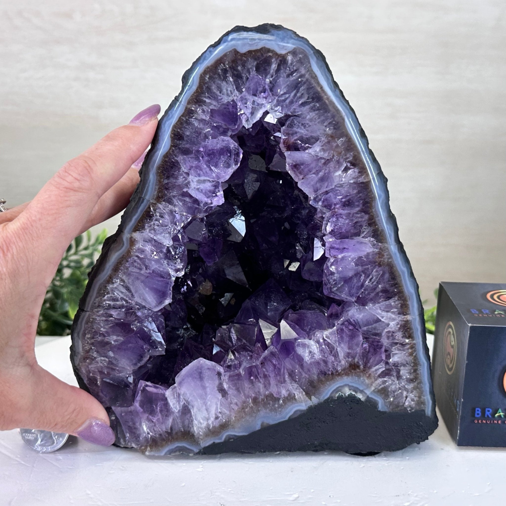 Extra Plus Quality Amethyst Cathedral, 10 lbs & 7.9" Tall #5601 - 1436 - Brazil GemsBrazil GemsExtra Plus Quality Amethyst Cathedral, 10 lbs & 7.9" Tall #5601 - 1436Cathedrals5601 - 1436