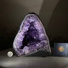 Extra Plus Quality Amethyst Cathedral, 10 lbs & 7.9" Tall #5601 - 1436 - Brazil GemsBrazil GemsExtra Plus Quality Amethyst Cathedral, 10 lbs & 7.9" Tall #5601 - 1436Cathedrals5601 - 1436