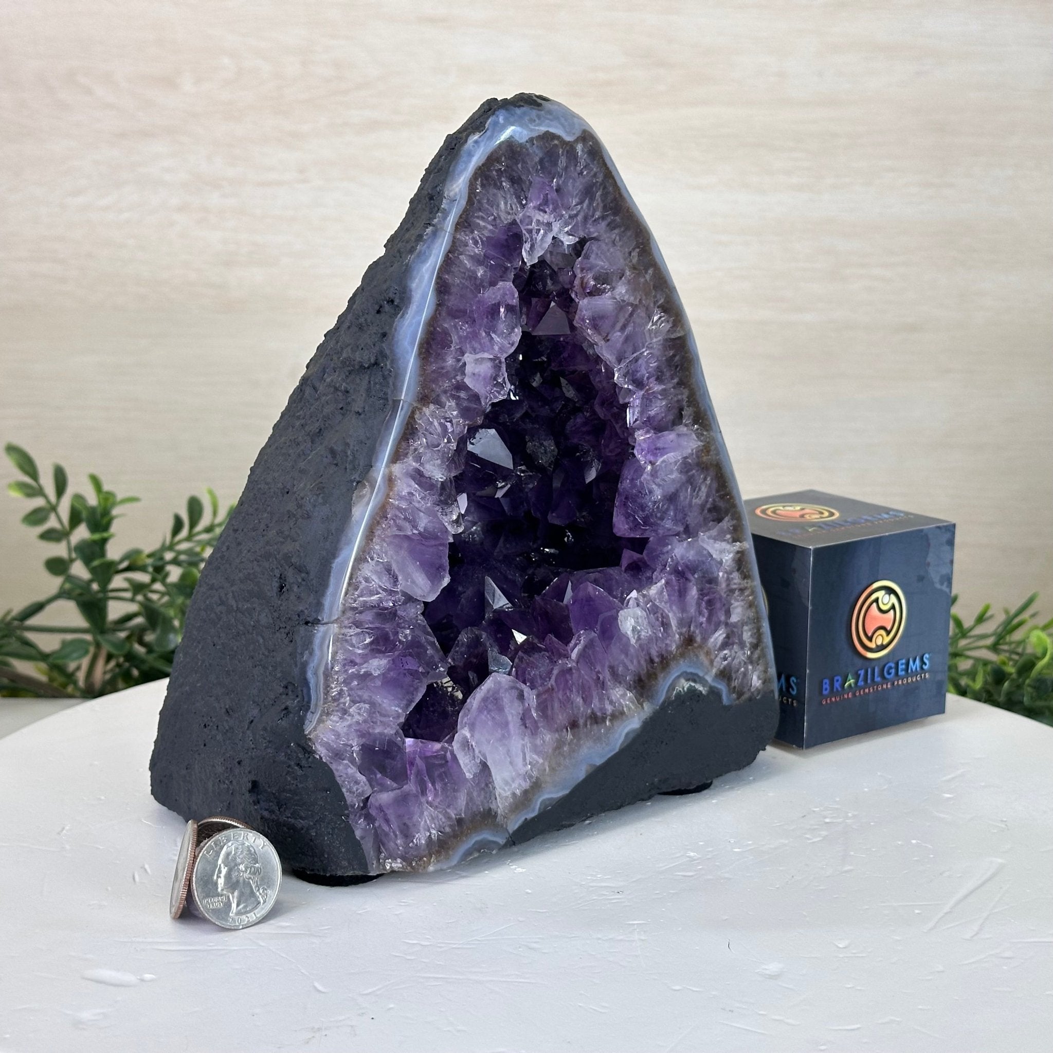 Extra Plus Quality Amethyst Cathedral, 10 lbs & 7.9" Tall #5601 - 1436 - Brazil GemsBrazil GemsExtra Plus Quality Amethyst Cathedral, 10 lbs & 7.9" Tall #5601 - 1436Cathedrals5601 - 1436