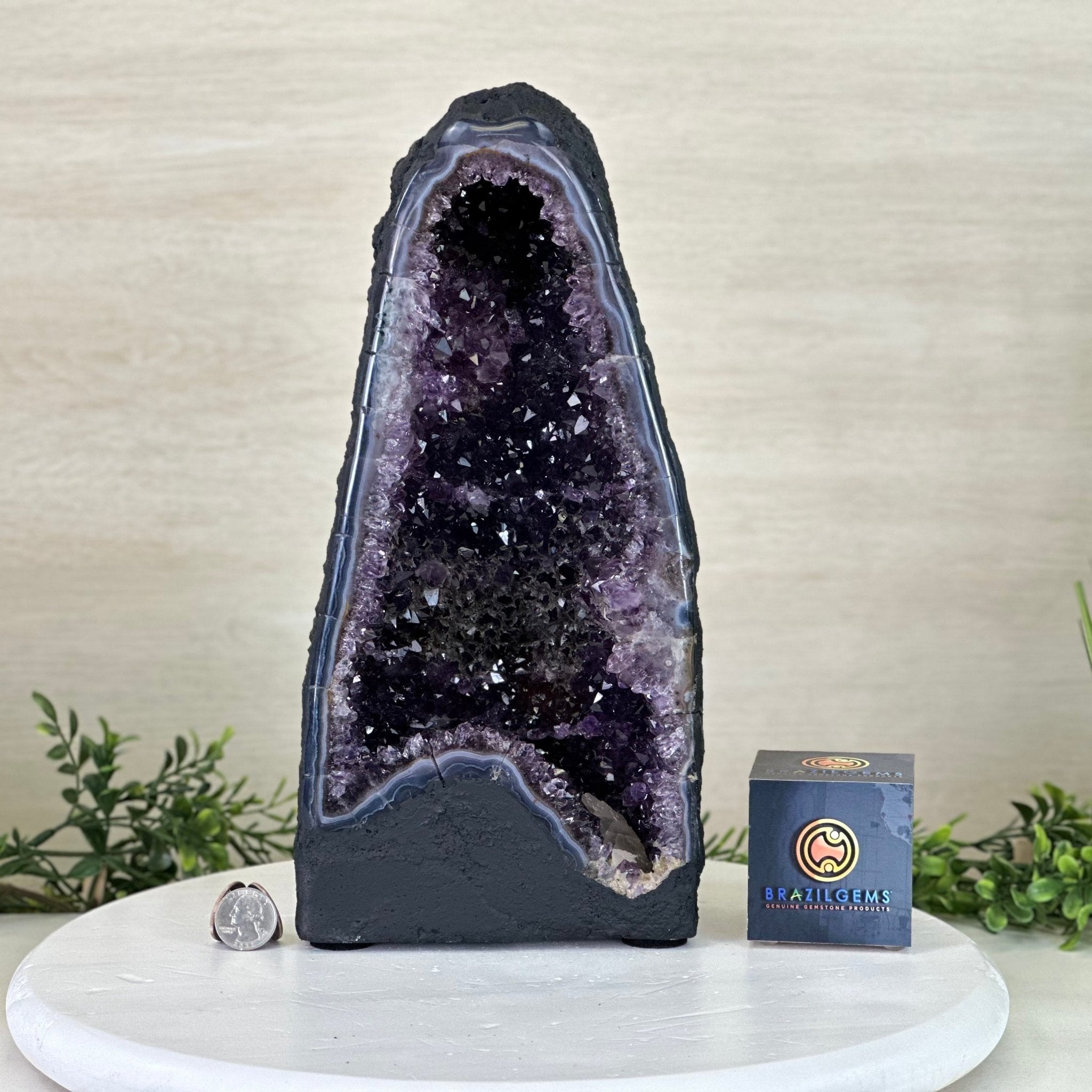 Extra Plus Quality Amethyst Cathedral, 11.8 lbs & 13.3" Tall #5601 - 1439 - Brazil GemsBrazil GemsExtra Plus Quality Amethyst Cathedral, 11.8 lbs & 13.3" Tall #5601 - 1439Cathedrals5601 - 1439