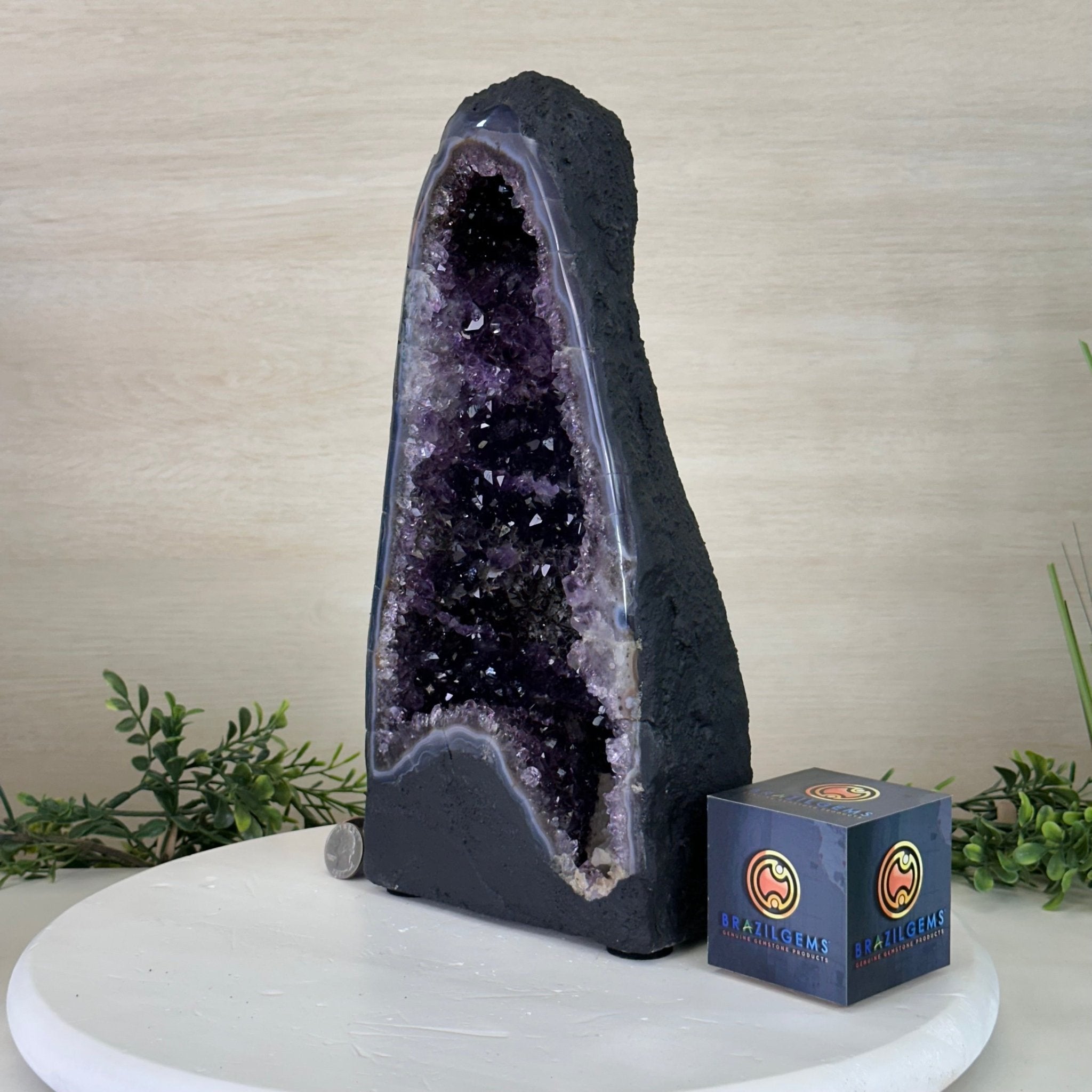 Extra Plus Quality Amethyst Cathedral, 11.8 lbs & 13.3" Tall #5601 - 1439 - Brazil GemsBrazil GemsExtra Plus Quality Amethyst Cathedral, 11.8 lbs & 13.3" Tall #5601 - 1439Cathedrals5601 - 1439