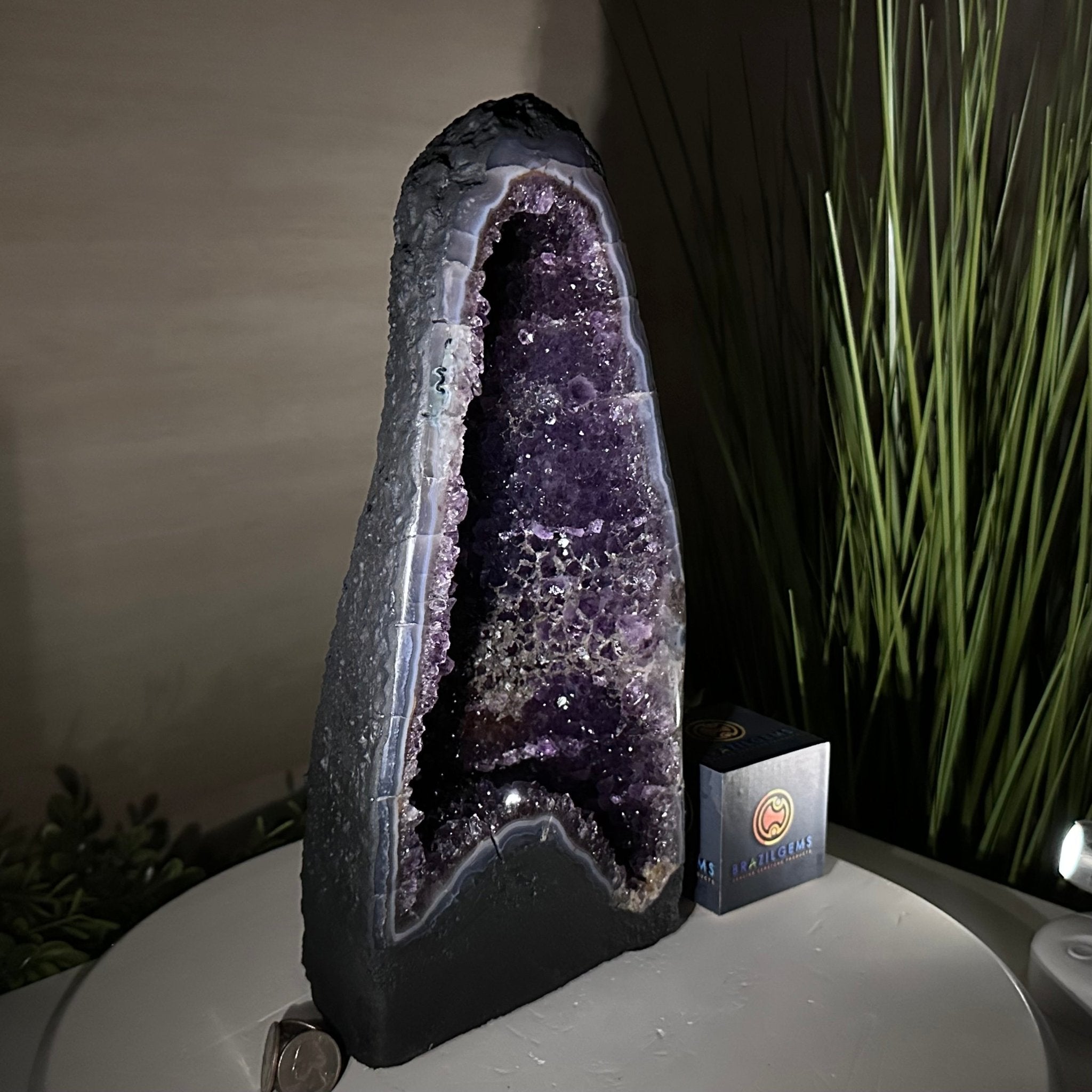 Extra Plus Quality Amethyst Cathedral, 11.8 lbs & 13.3" Tall #5601 - 1439 - Brazil GemsBrazil GemsExtra Plus Quality Amethyst Cathedral, 11.8 lbs & 13.3" Tall #5601 - 1439Cathedrals5601 - 1439