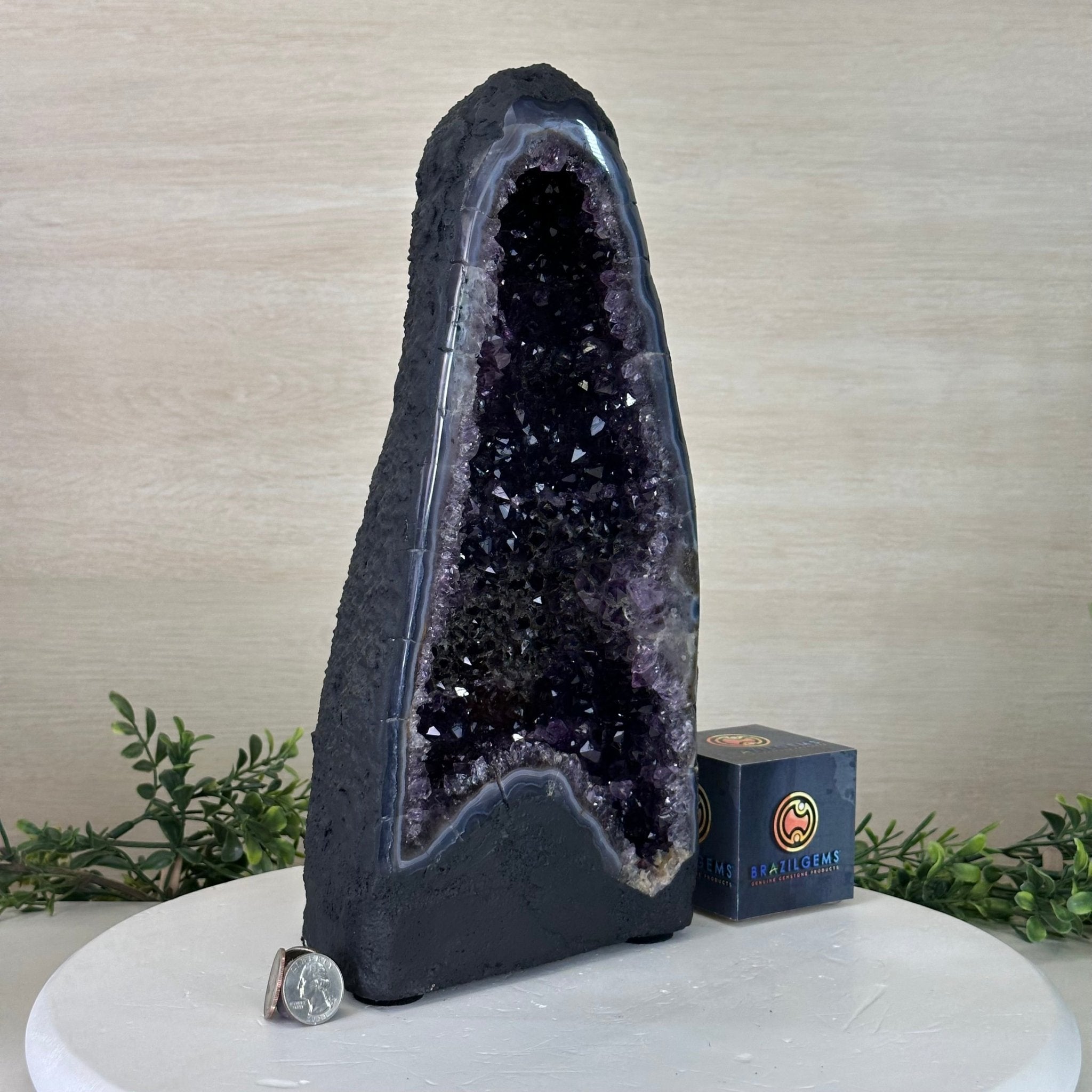 Extra Plus Quality Amethyst Cathedral, 11.8 lbs & 13.3" Tall #5601 - 1439 - Brazil GemsBrazil GemsExtra Plus Quality Amethyst Cathedral, 11.8 lbs & 13.3" Tall #5601 - 1439Cathedrals5601 - 1439