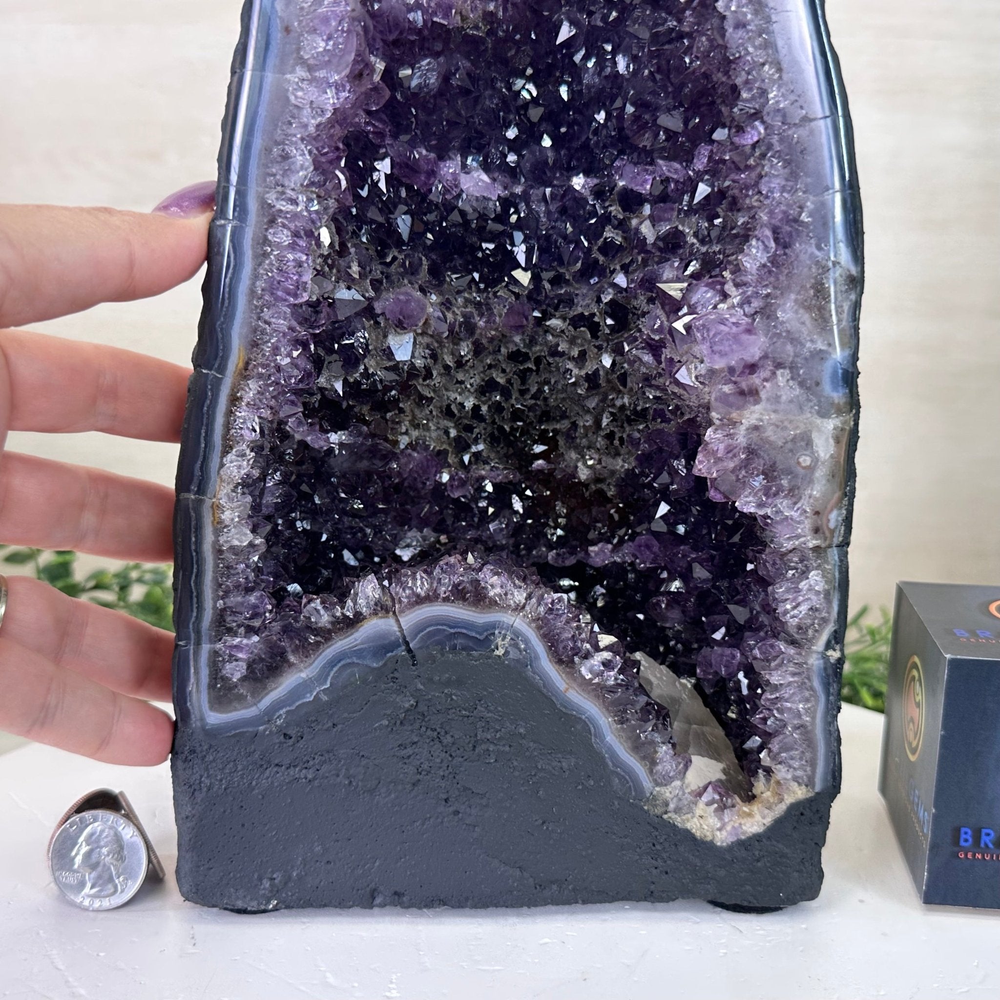 Extra Plus Quality Amethyst Cathedral, 11.8 lbs & 13.3" Tall #5601 - 1439 - Brazil GemsBrazil GemsExtra Plus Quality Amethyst Cathedral, 11.8 lbs & 13.3" Tall #5601 - 1439Cathedrals5601 - 1439